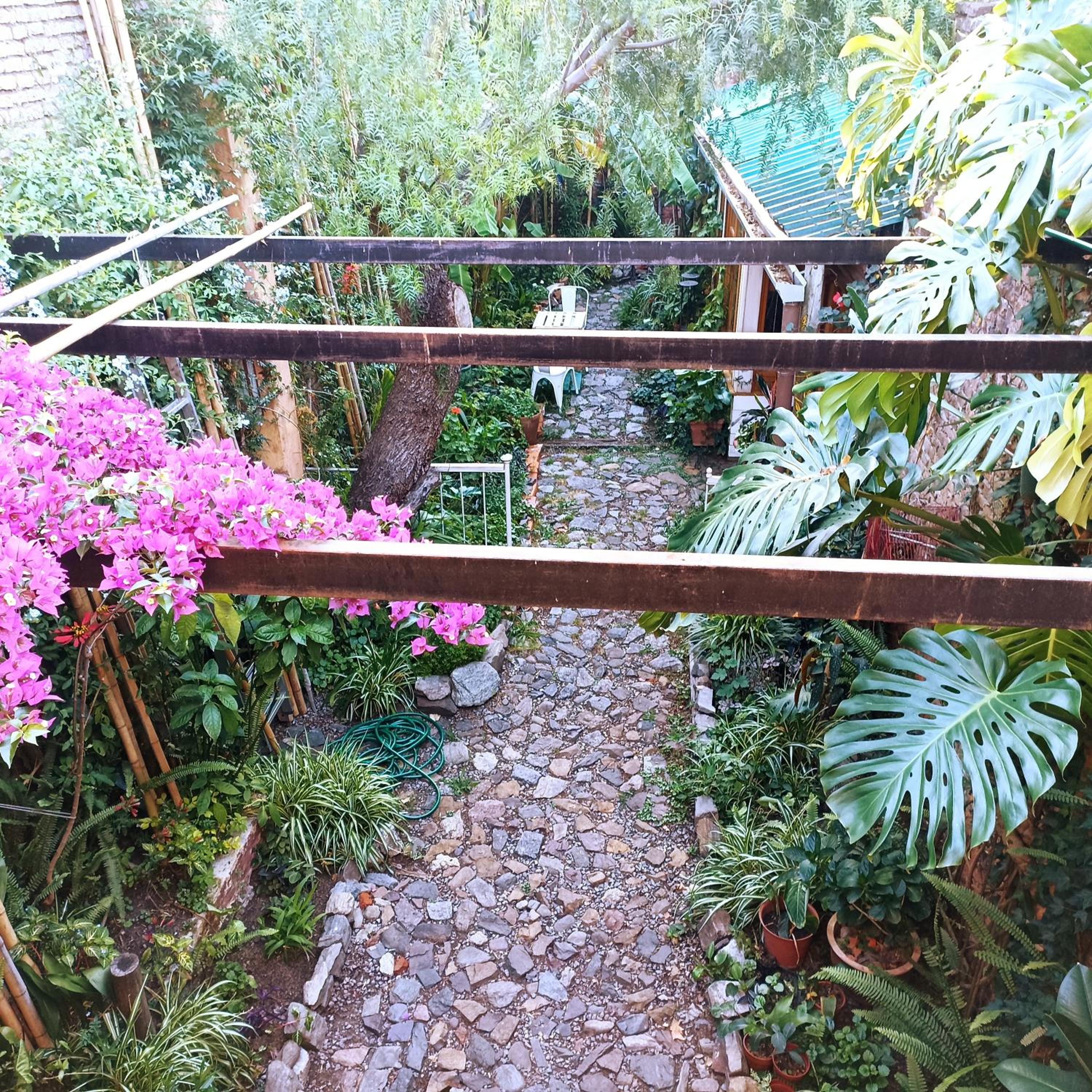 Apartment with Garden View photo 2