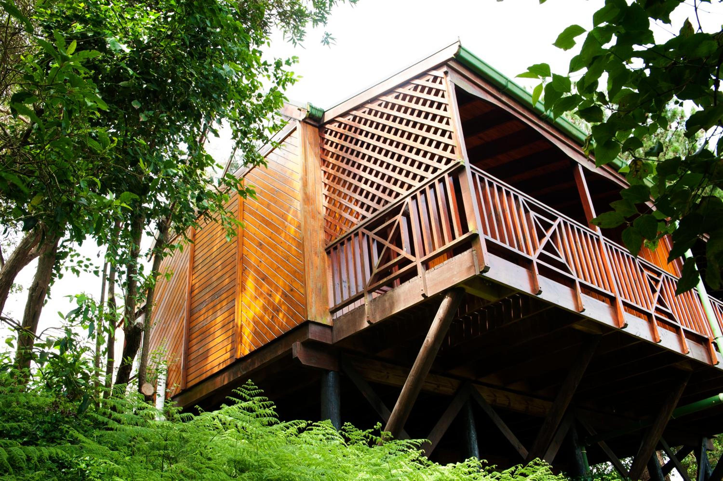 Deluxe Double or Twin Room with Balcony - Photo 8