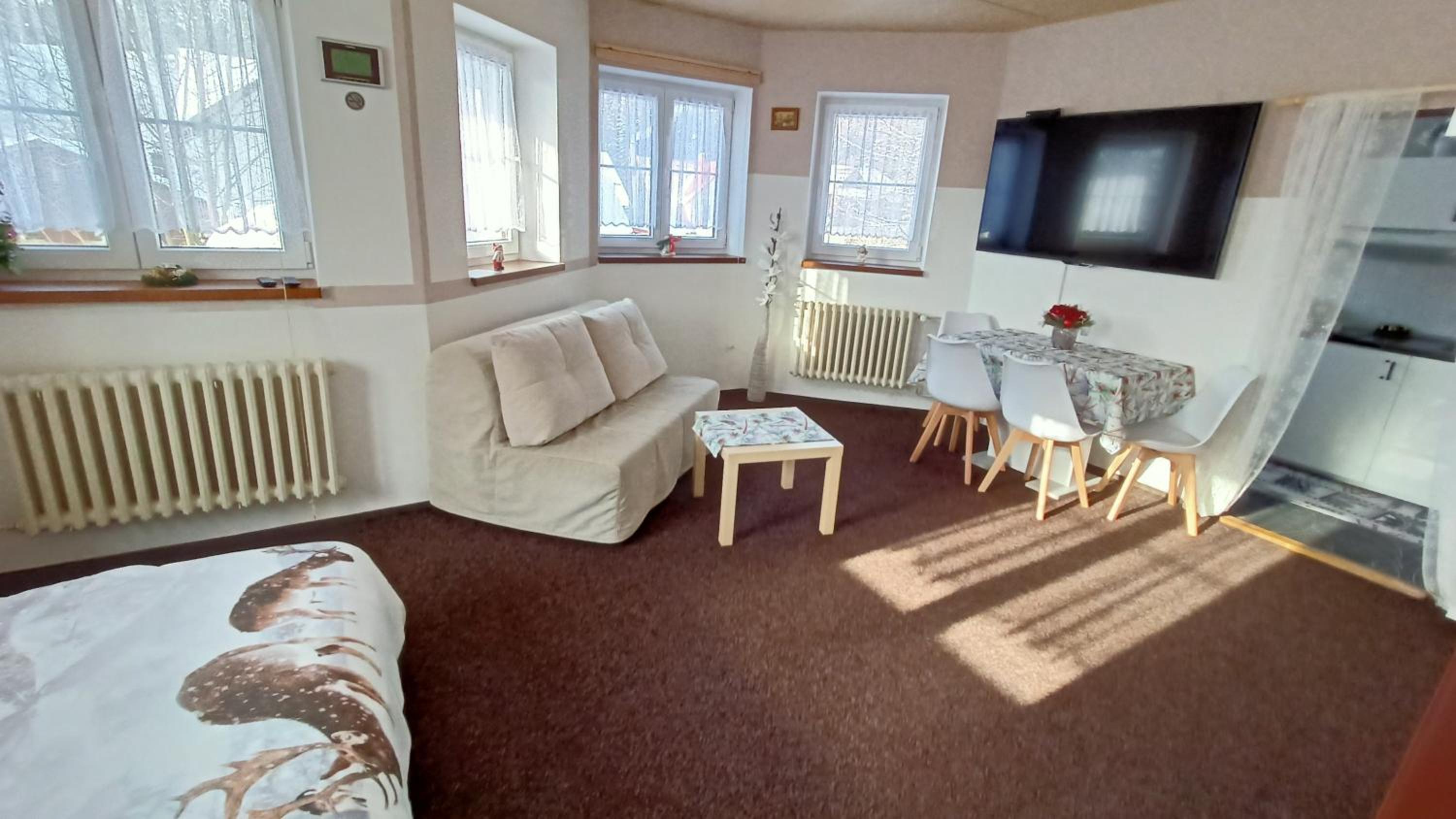 Studio Apartment photo 1