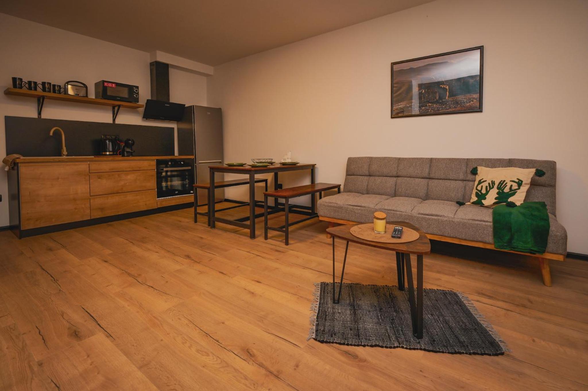 Superior Apartment photo 2