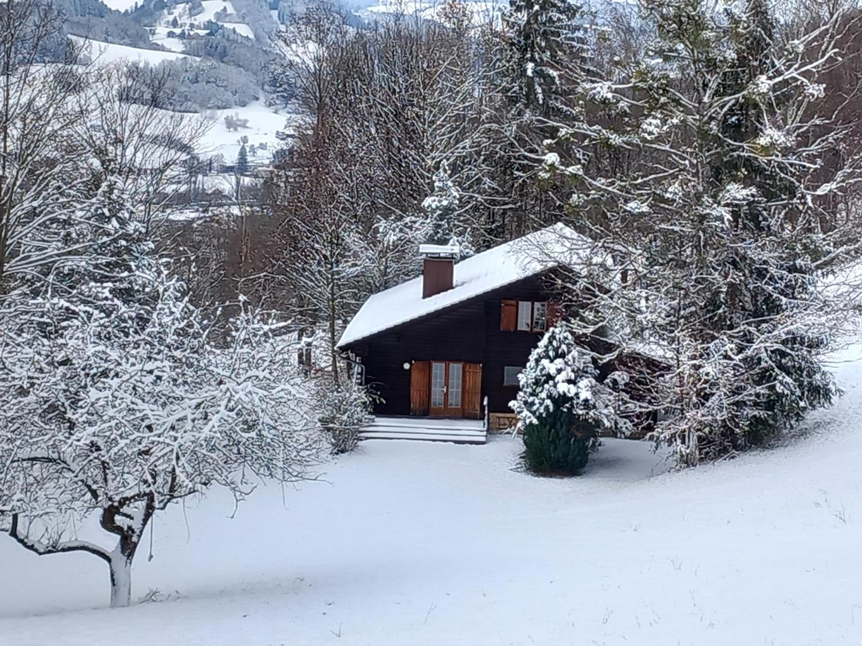 Vacation Home photo 2