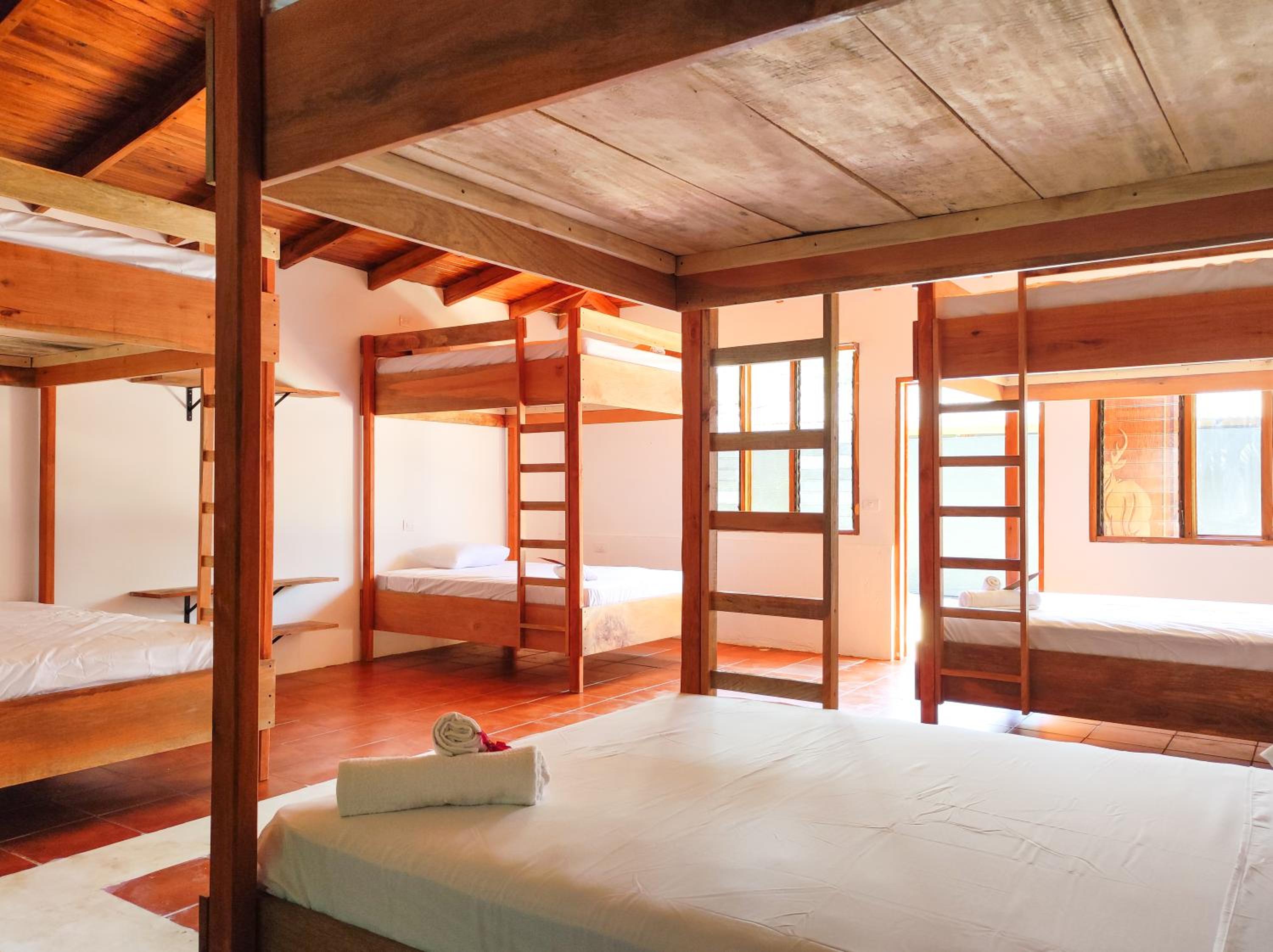 Bed in 8-Bed Mixed Dormitory Room photo 3