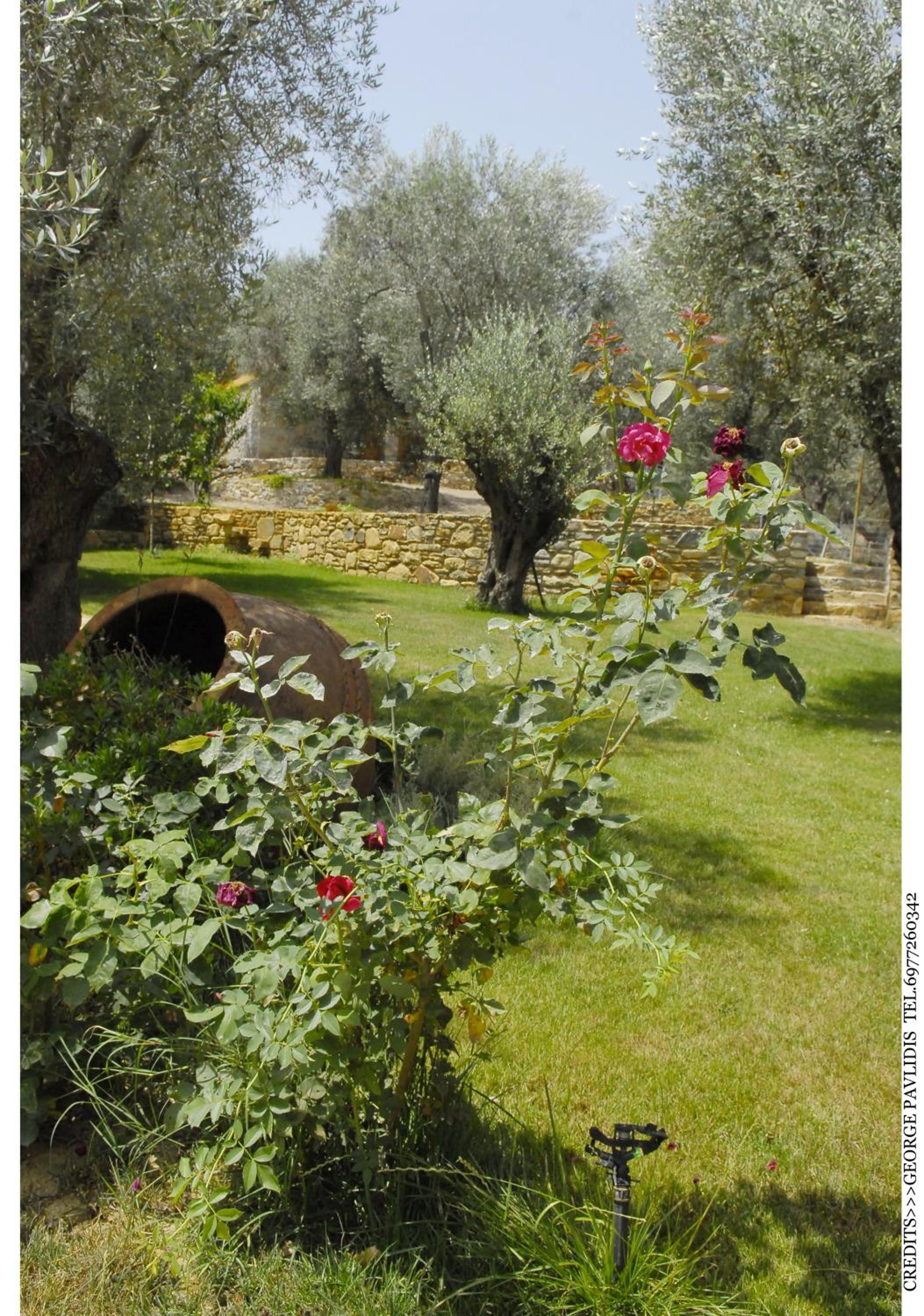 Triple Room with Garden View