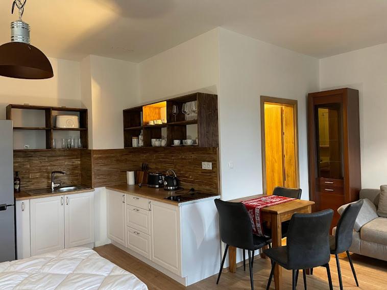 One-Bedroom Apartment photo 2