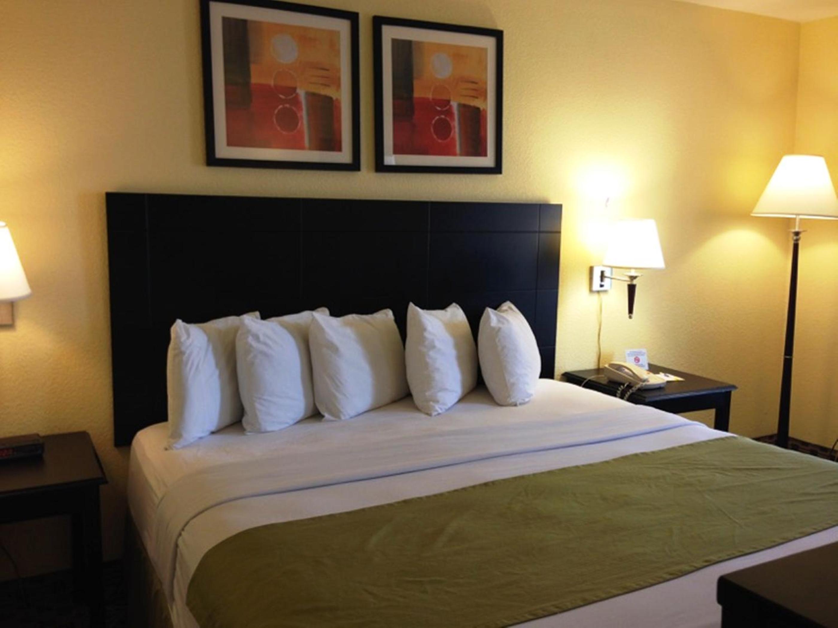 One-Bedroom Business King Suite - Non-Smoking photo 3