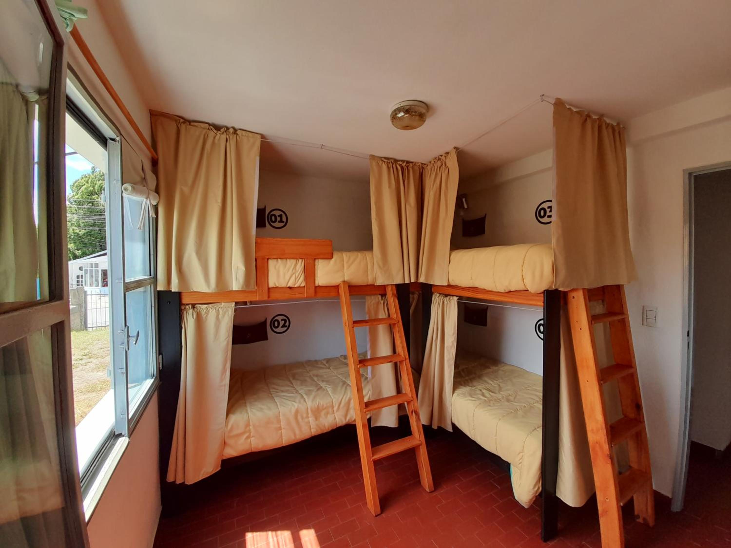 Bunk Bed in Mixed Dormitory Room photo 2