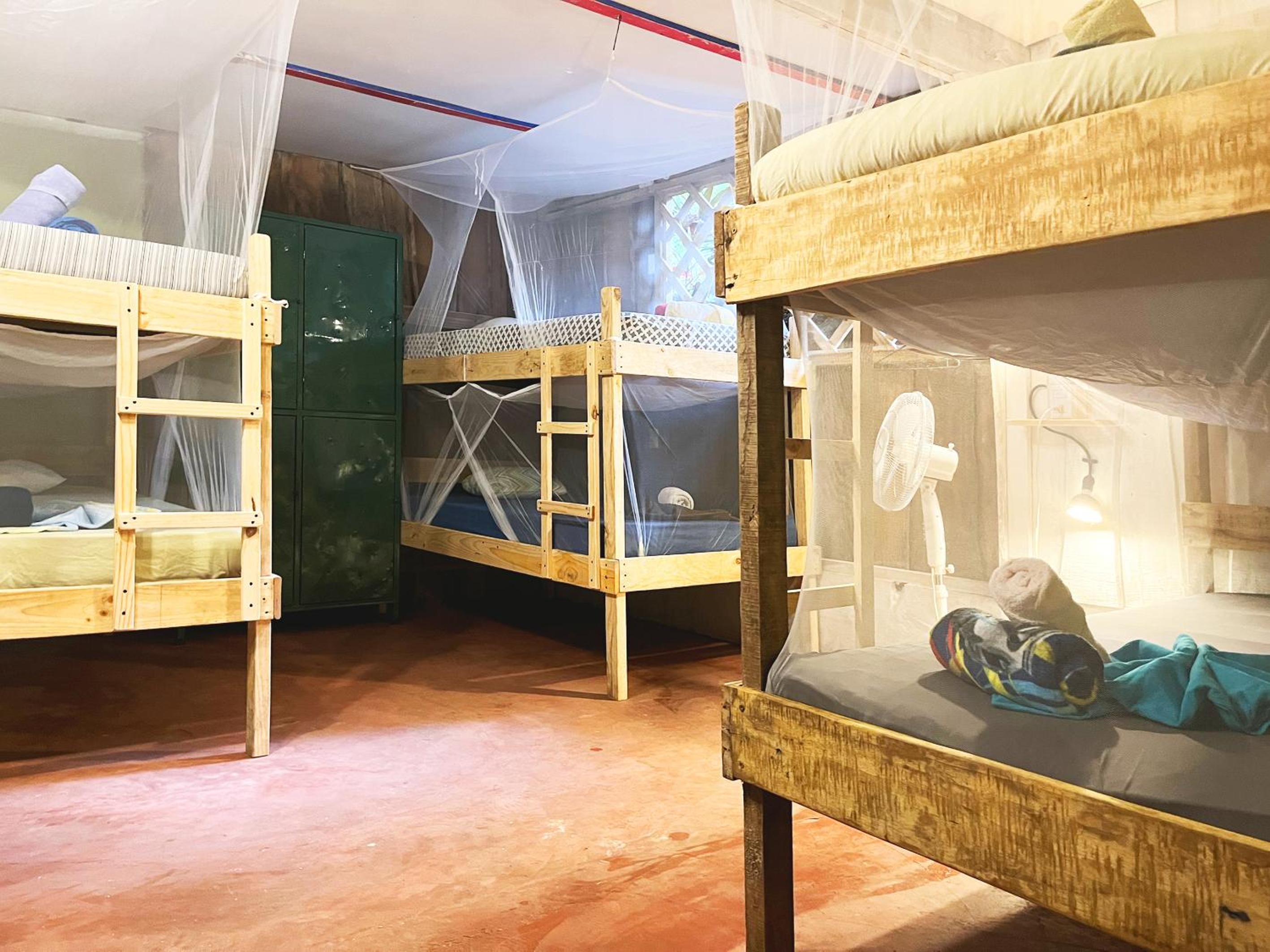 Bett in gemischtem 8-Bett Schlafsaal