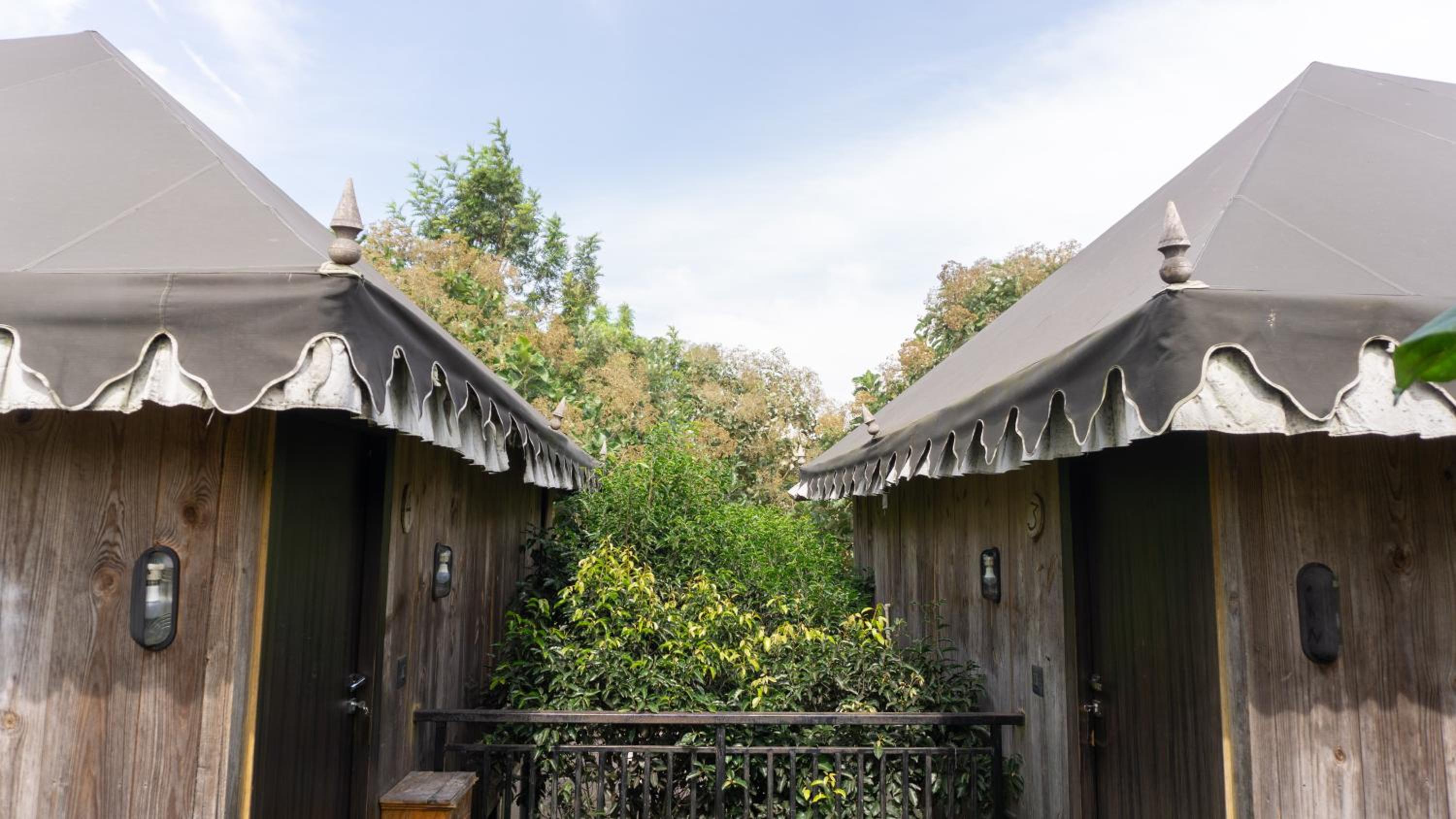 Tree House - Photo 7
