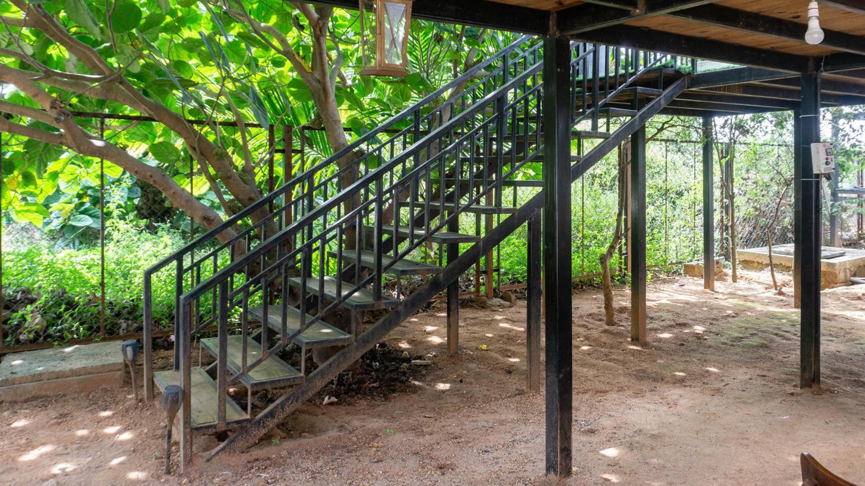 Tree House - Photo 15