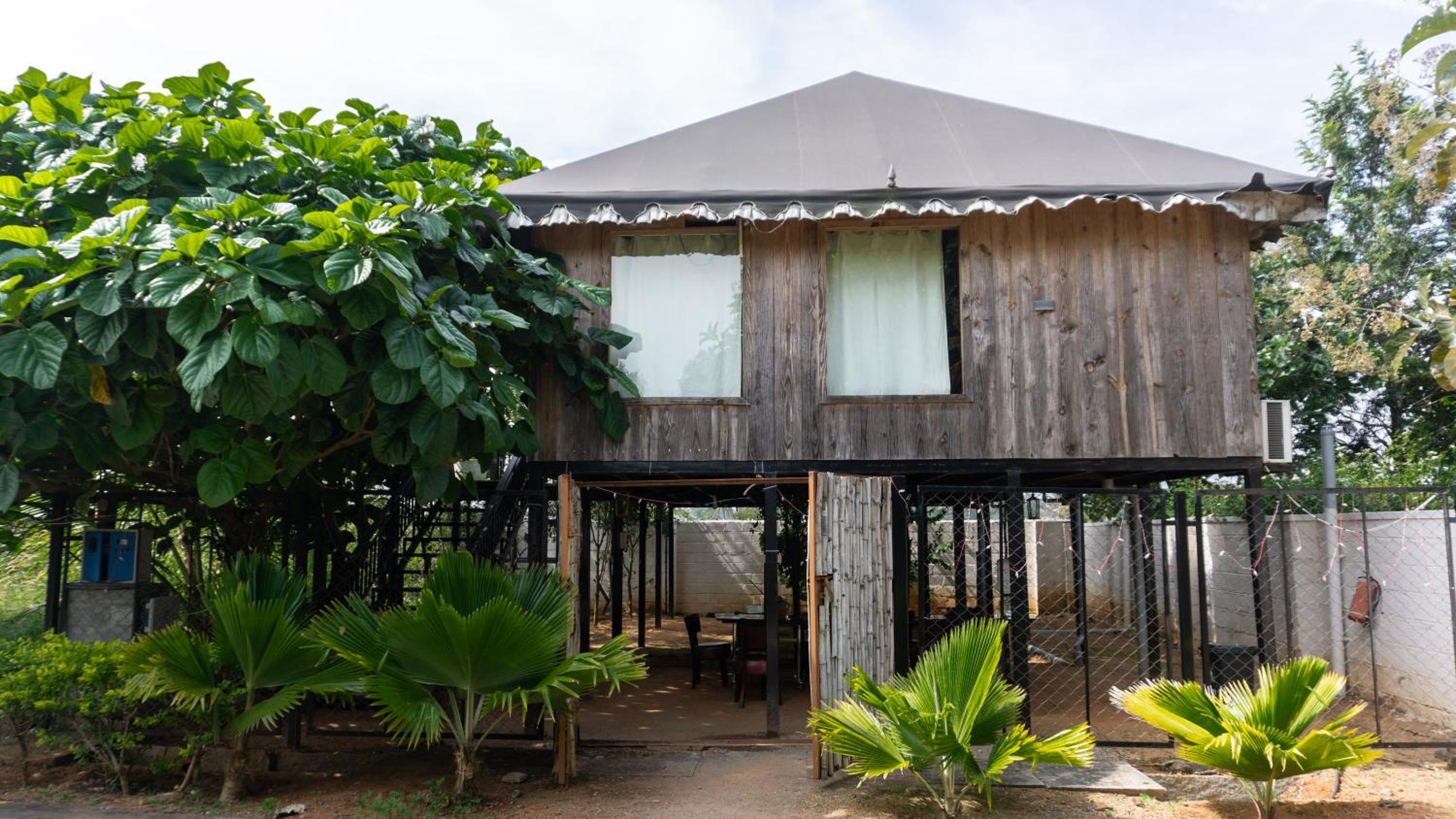 Tree House - Photo 12