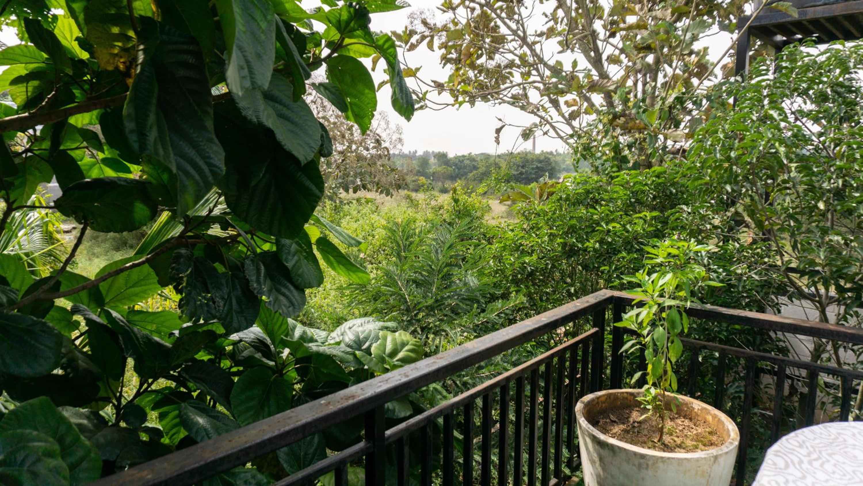 Tree House - Photo 11
