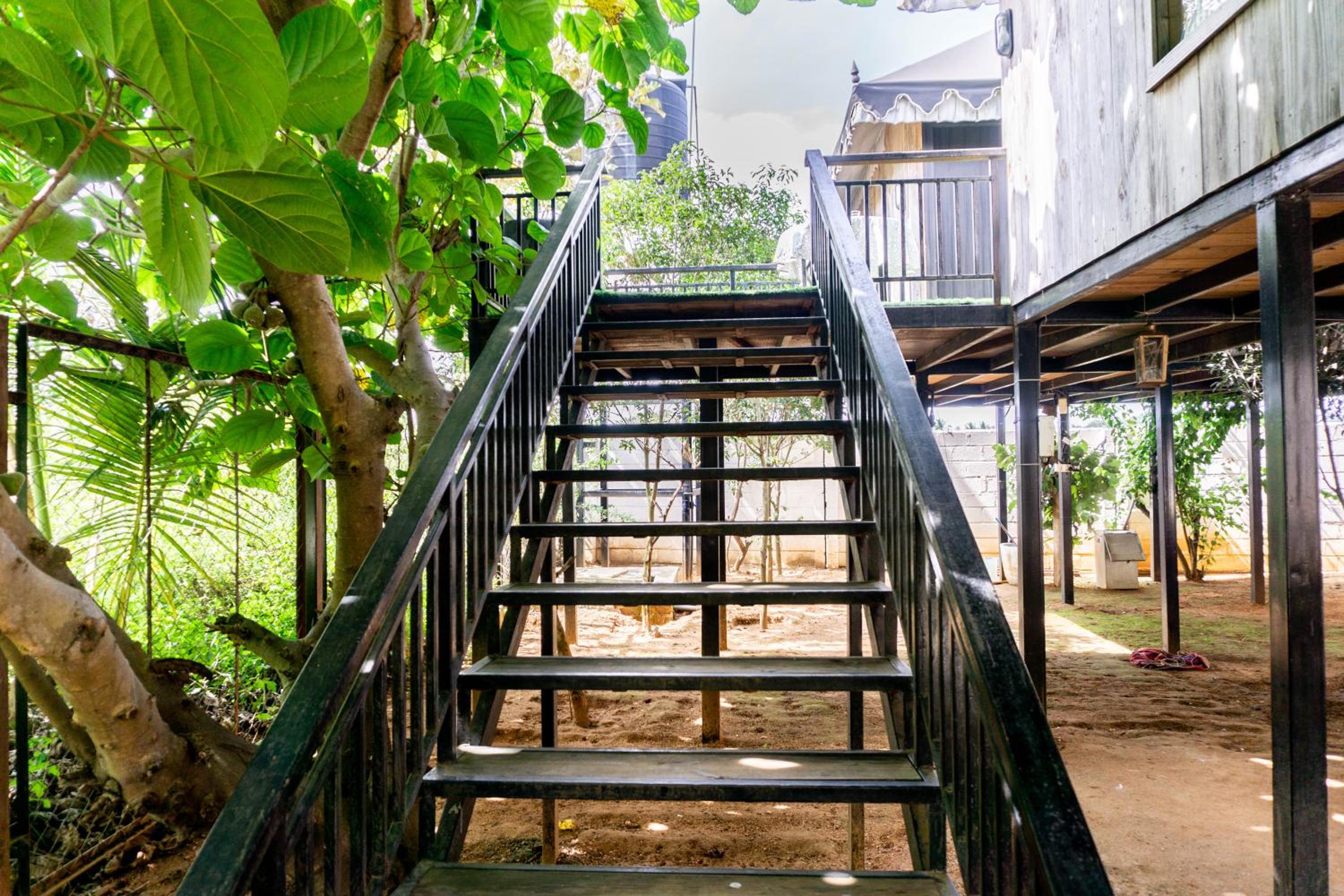 Tree House - Photo 14