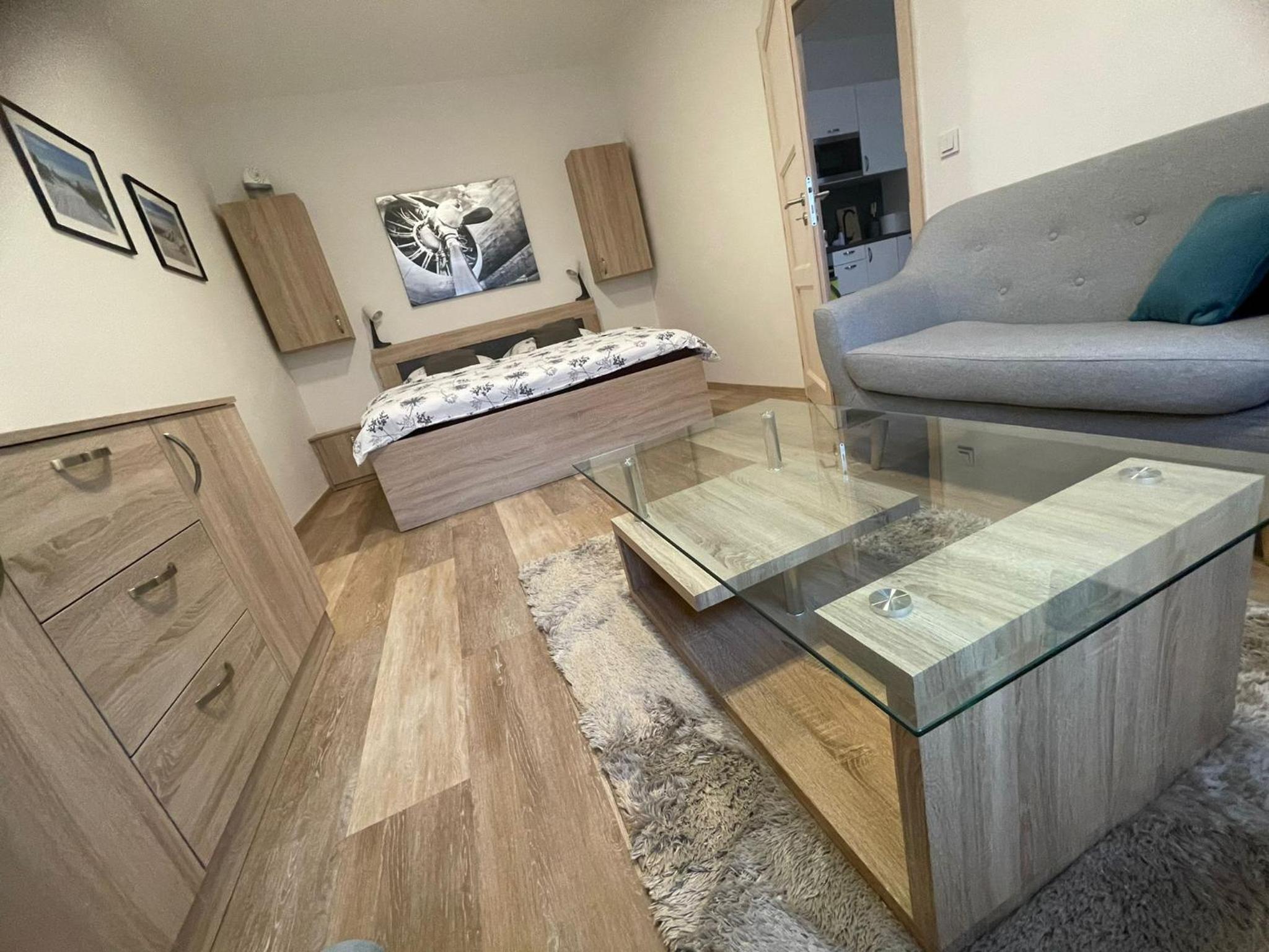 Two-Bedroom Family Apartment