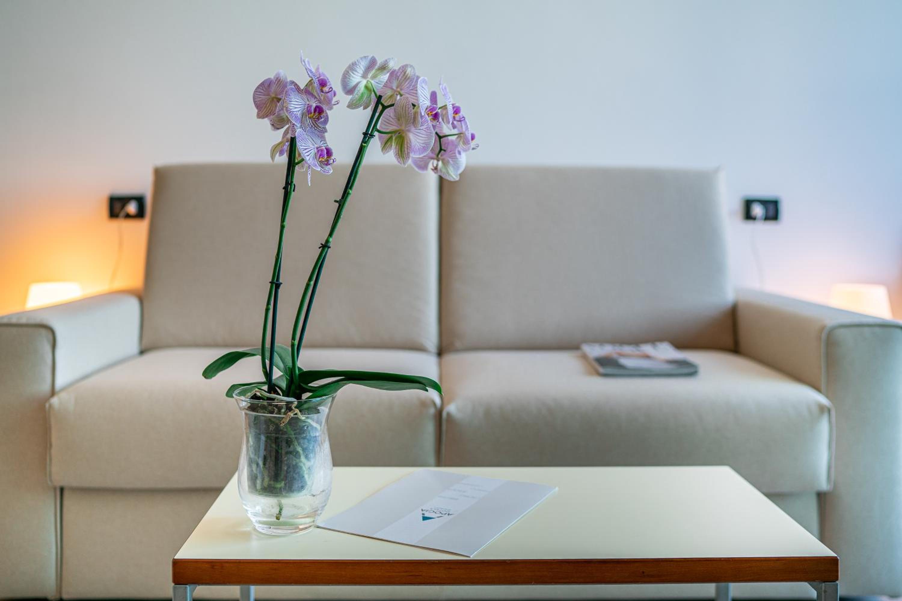 Suite (4 Adults) - Photo 15