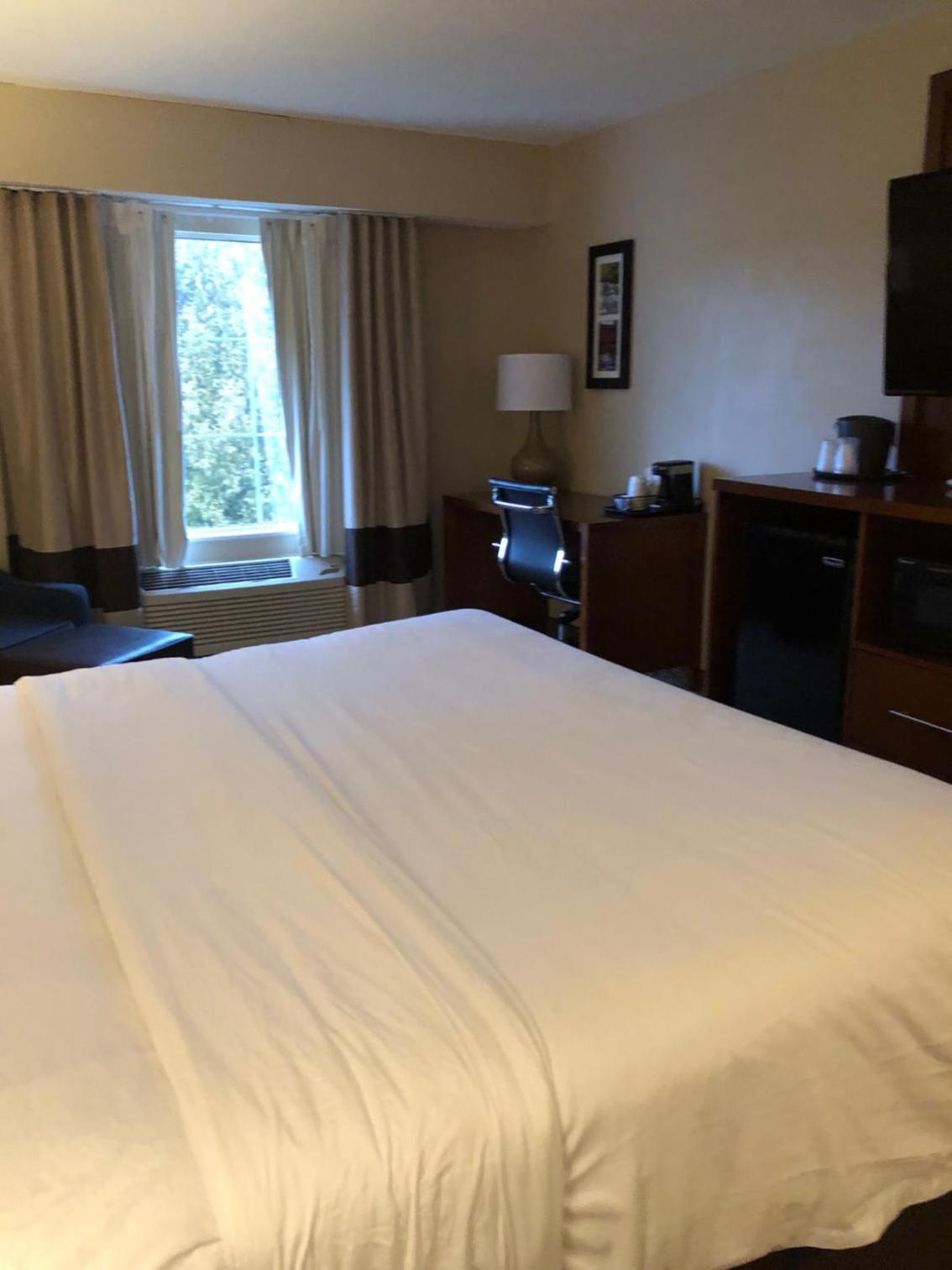 King Room - Non-Smoking - Photo 2