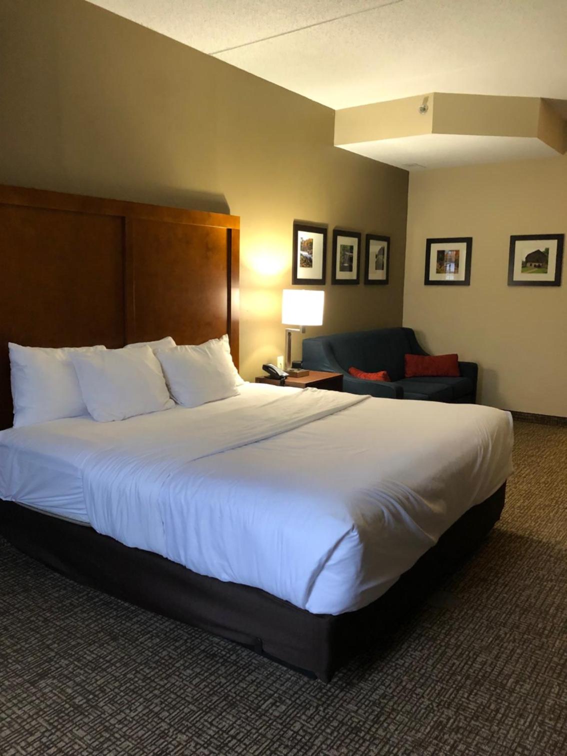Superior King Room - Non-Smoking - Photo 1