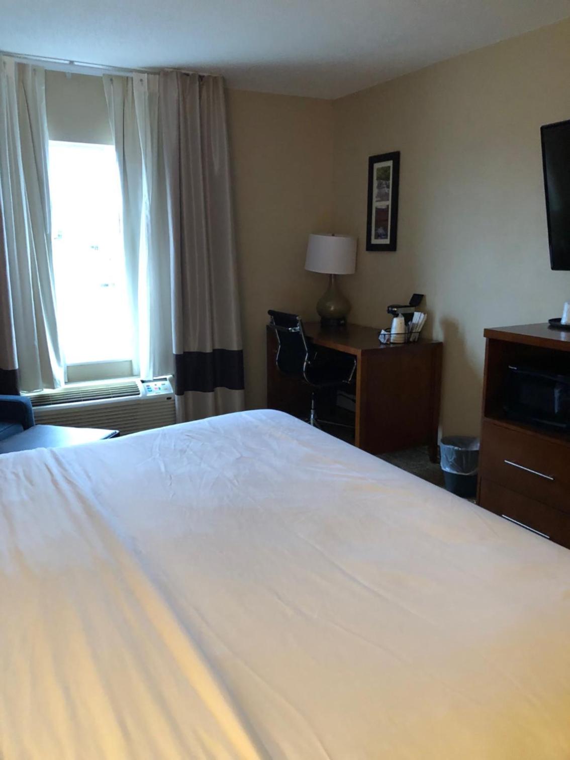 Deluxe King Room - Non-Smoking - Photo 3