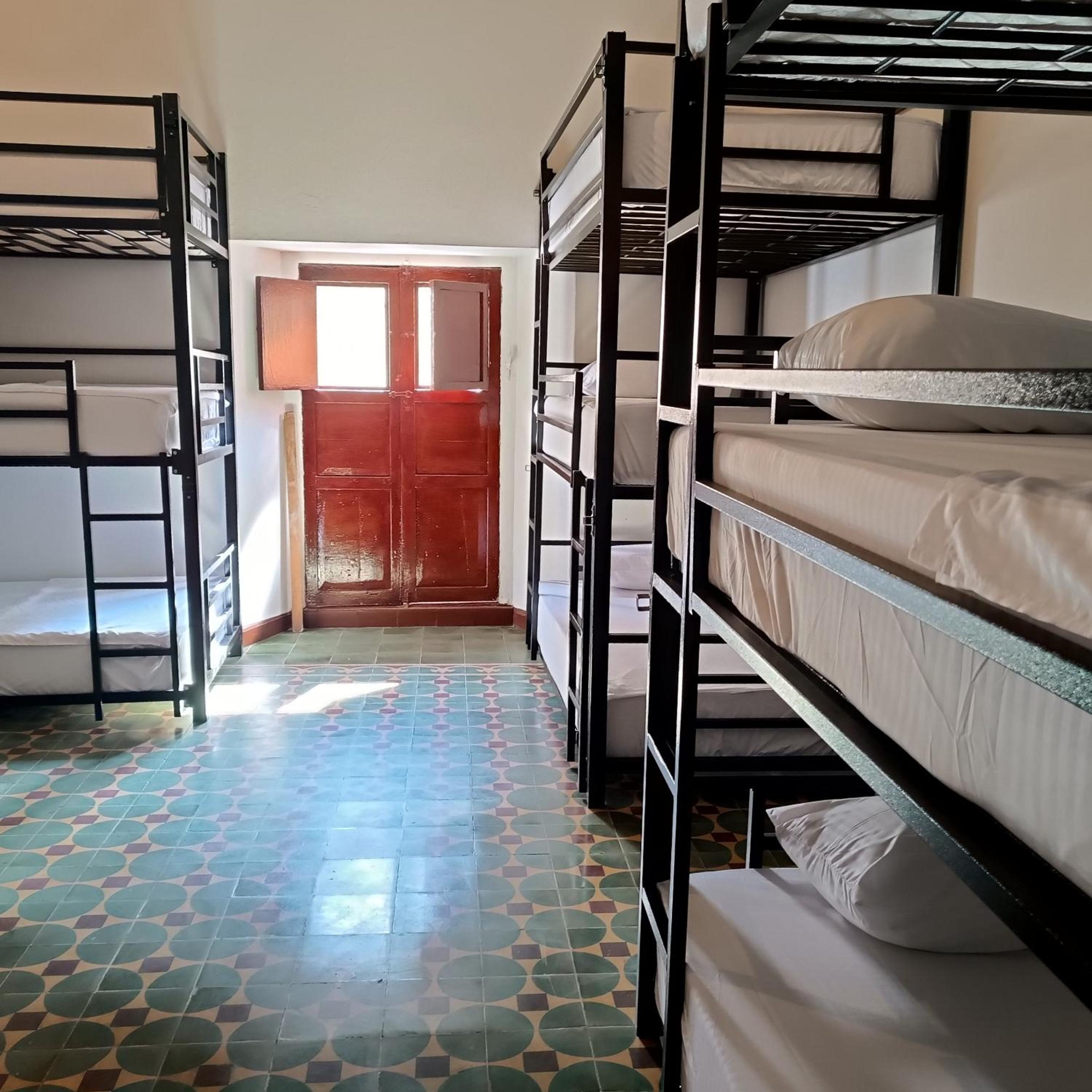 Single Bed in Mixed Dormitory Room photo 1