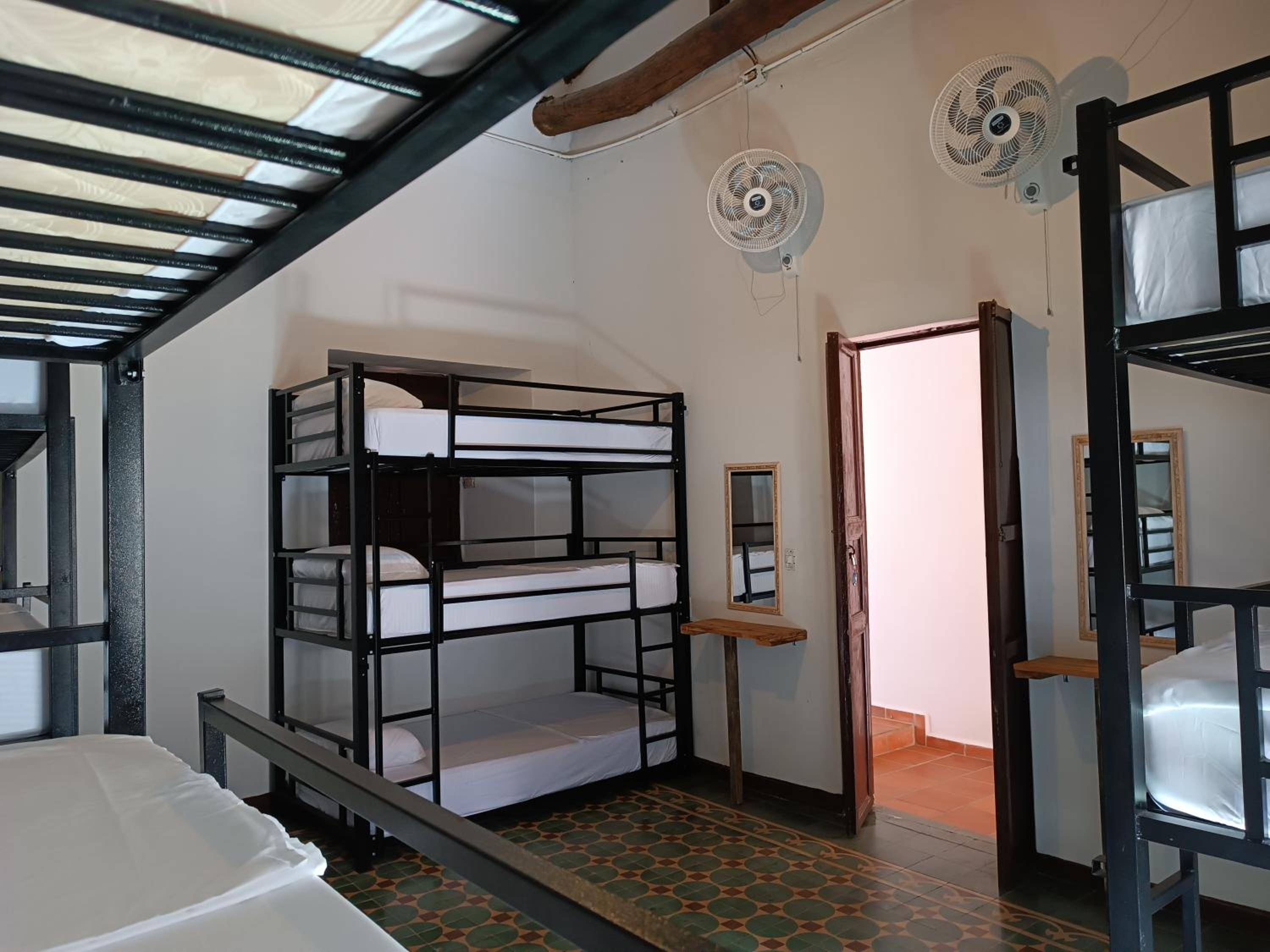 Single Bed in Mixed Dormitory Room photo 3