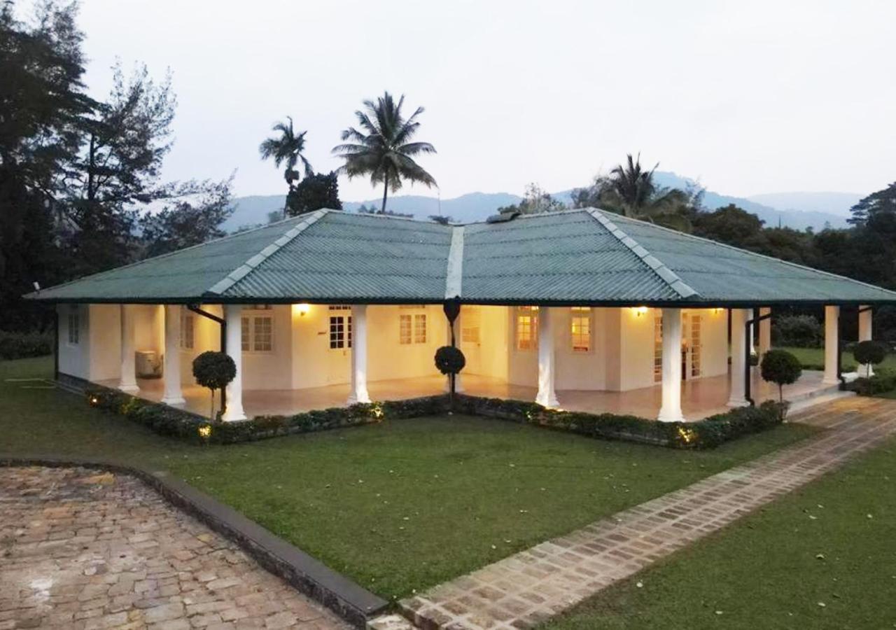 Family Bungalow photo 3