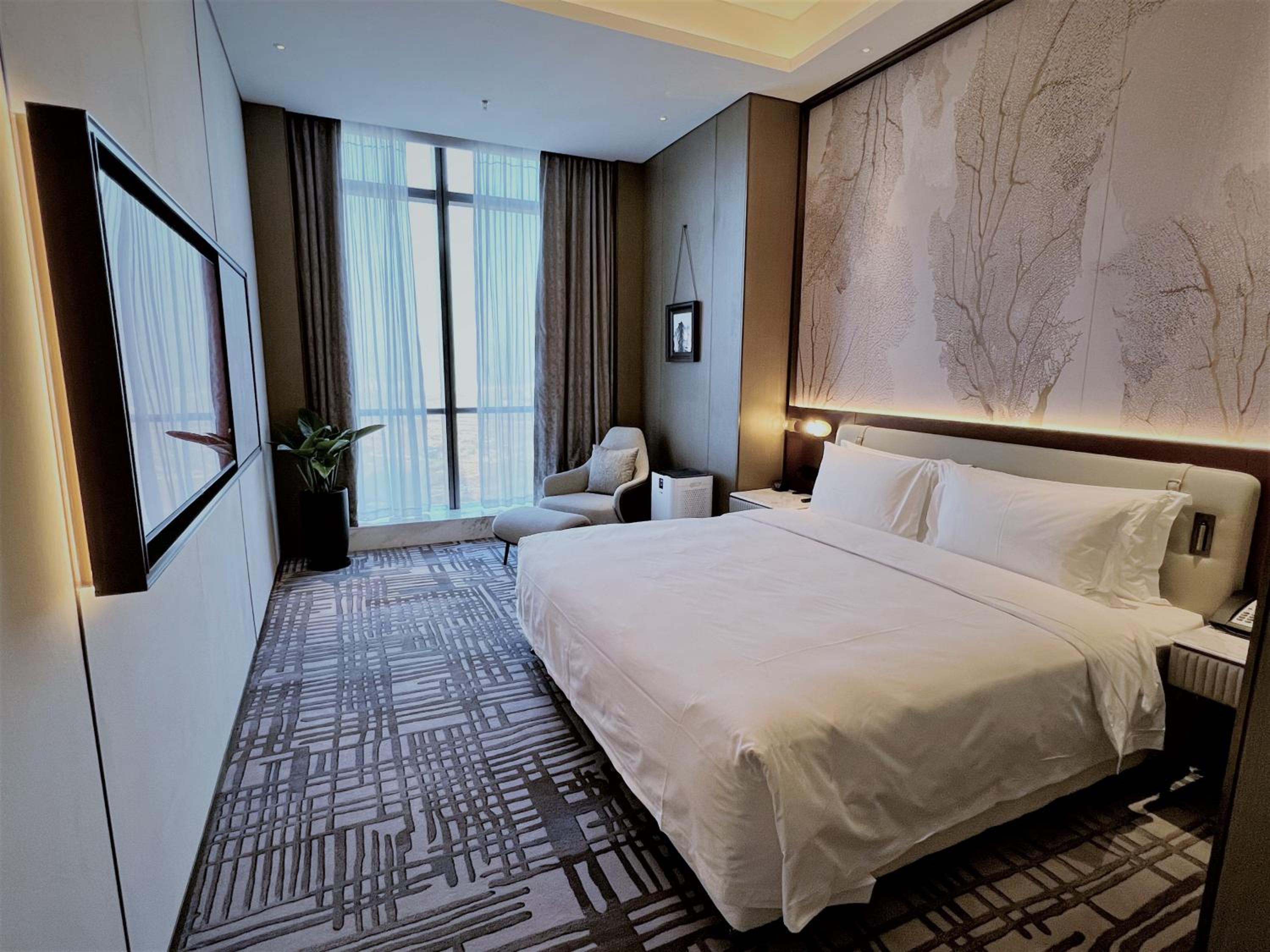 Junior Suite photo 1