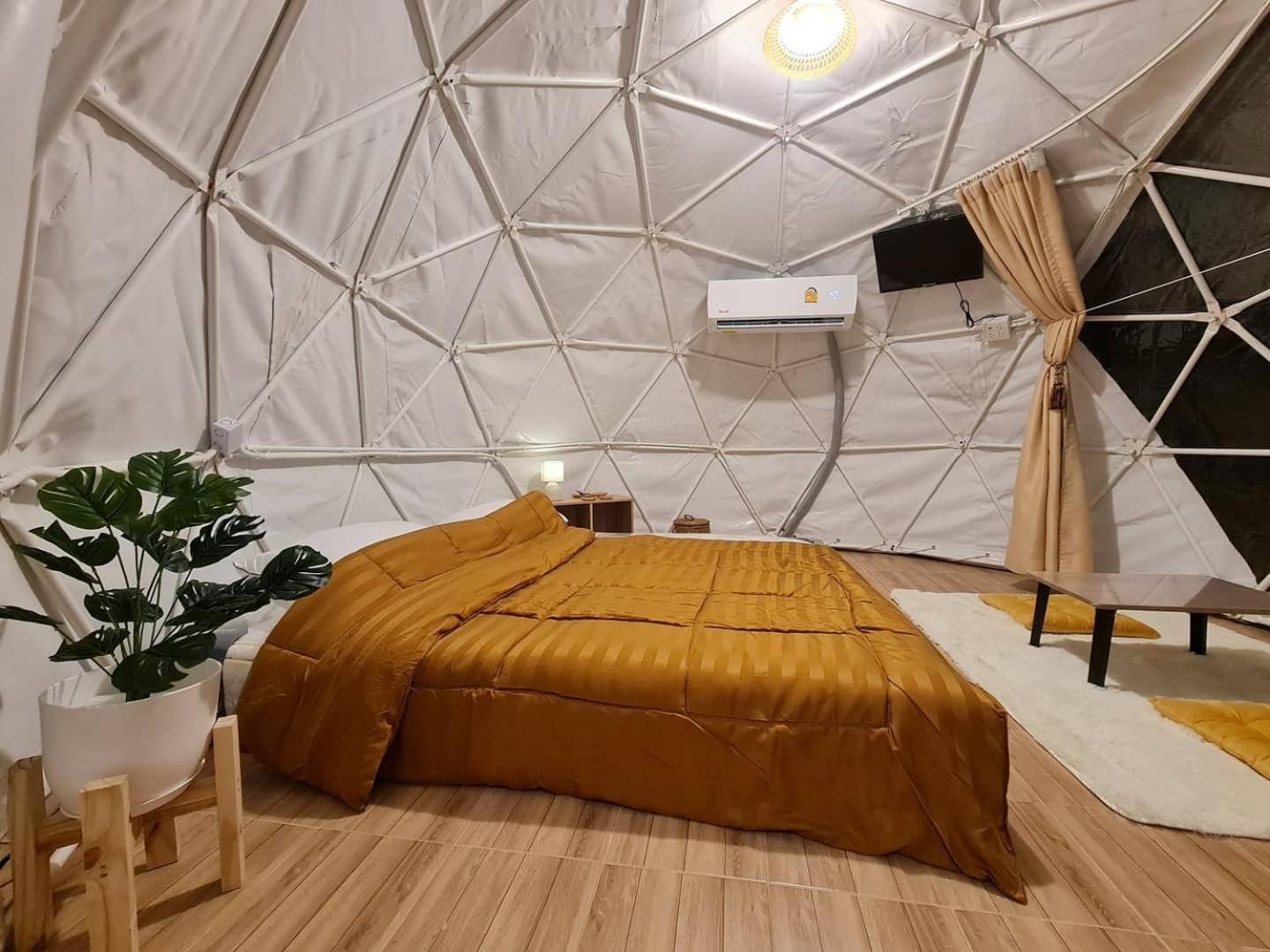 Tent photo 1