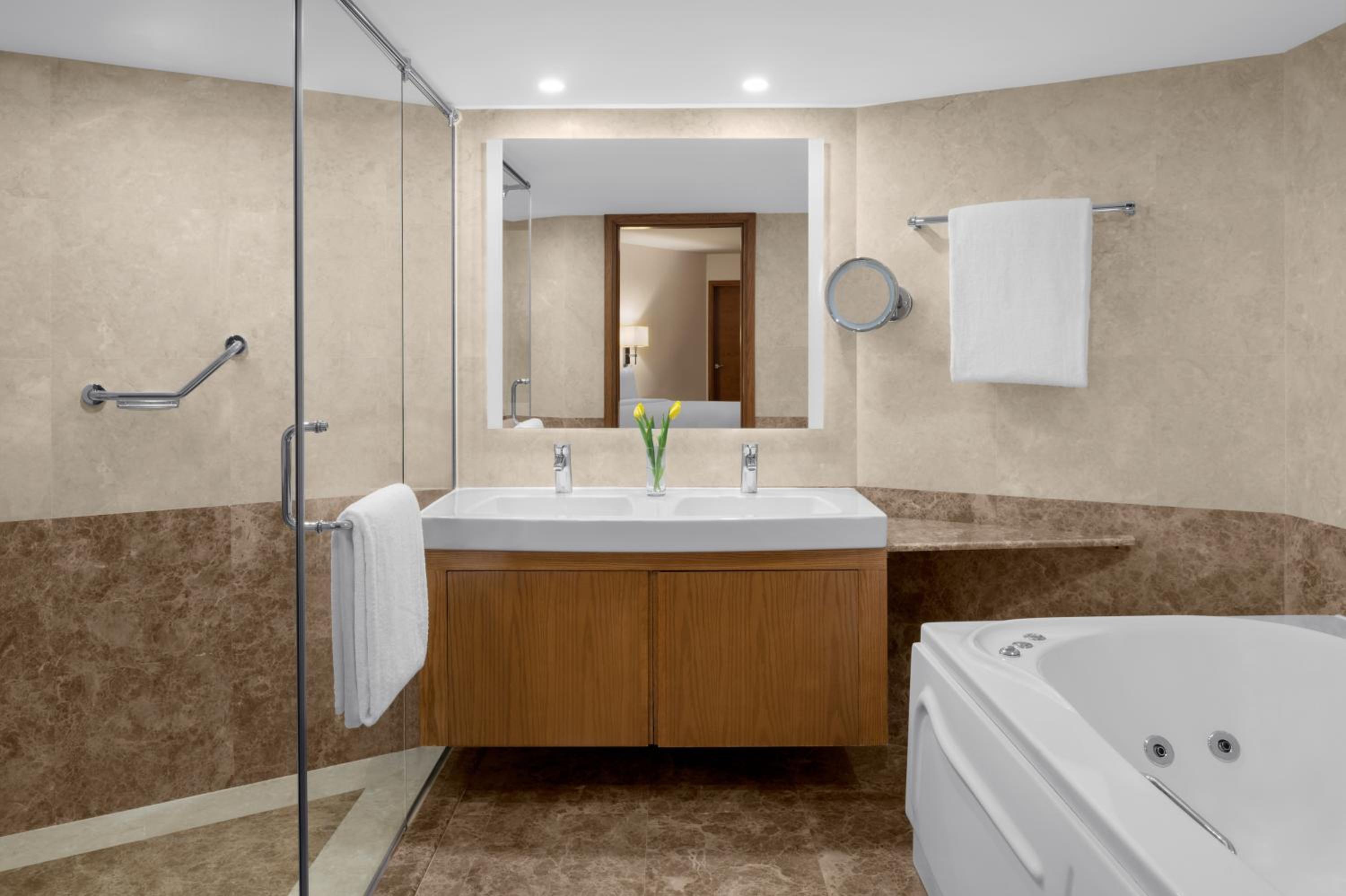 One-Bedroom Suite - Photo 4