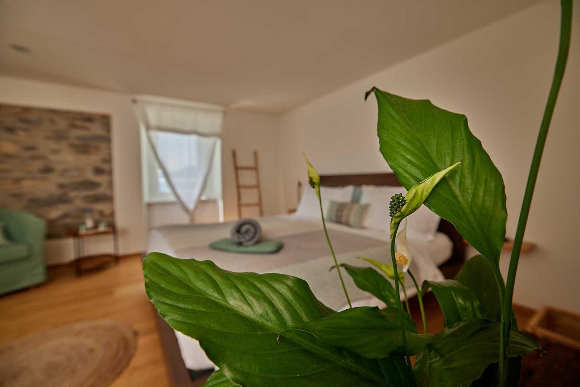 Junior Suite with Balcony photo 1