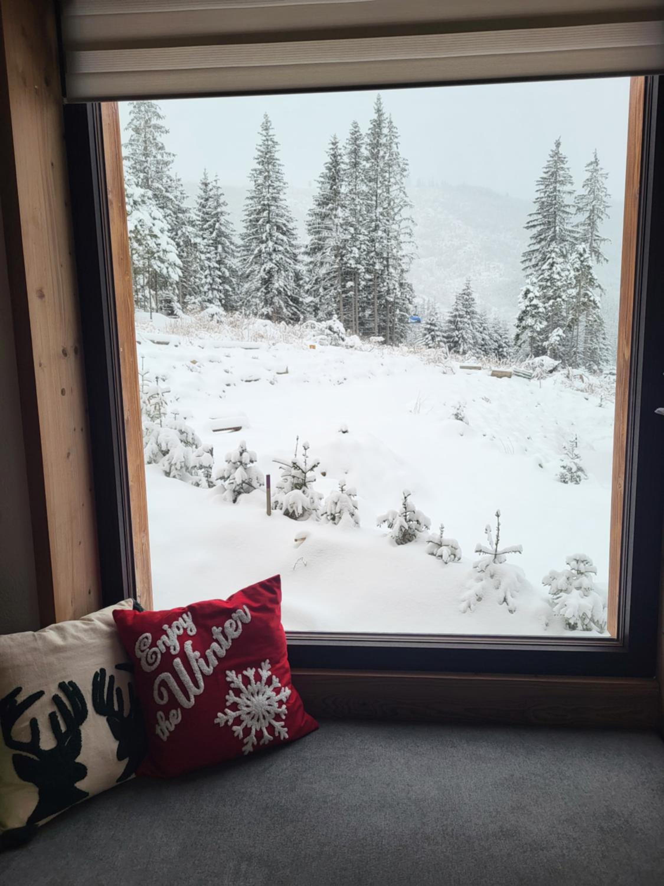 Chalet photo 3