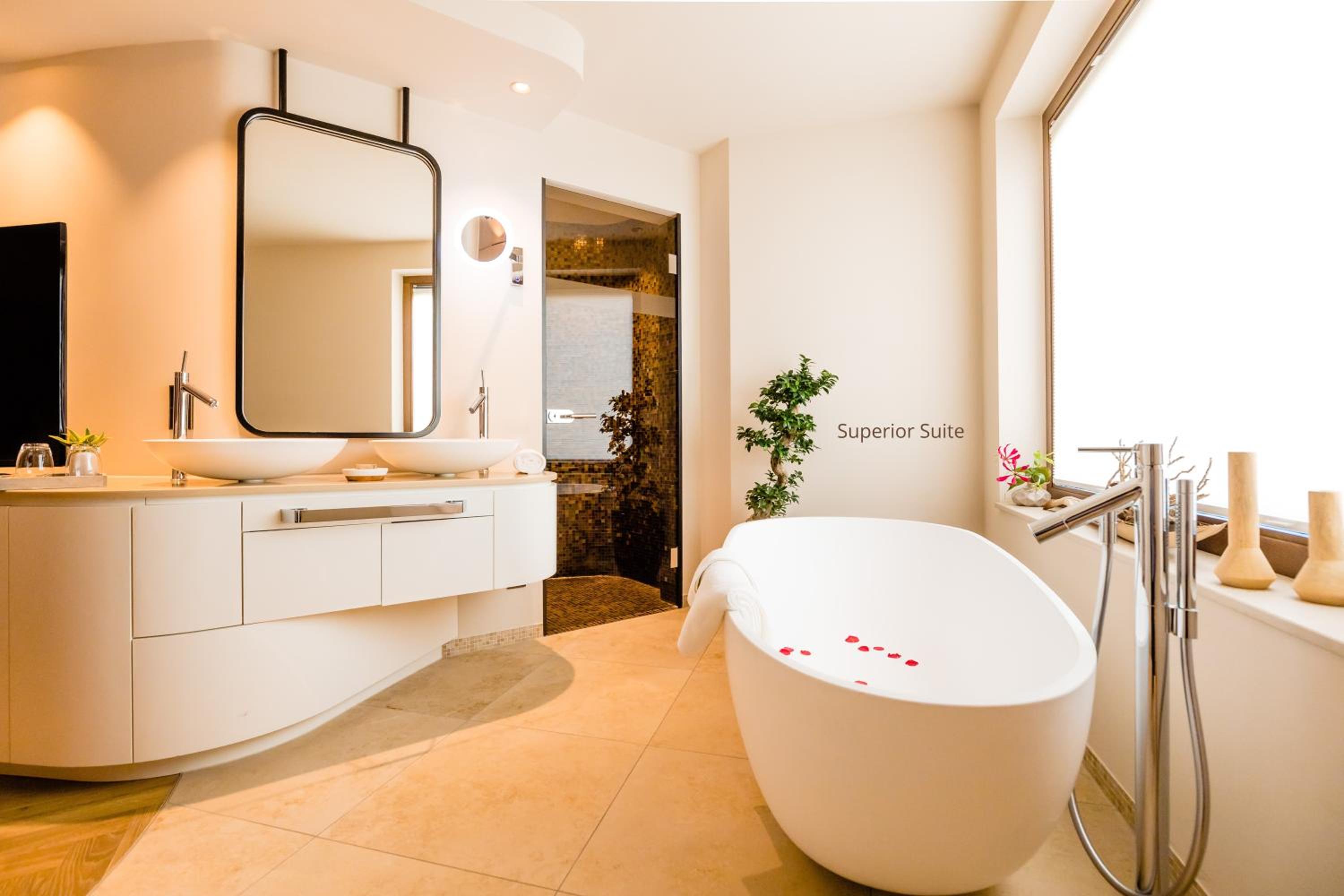 Suite - Photo 4