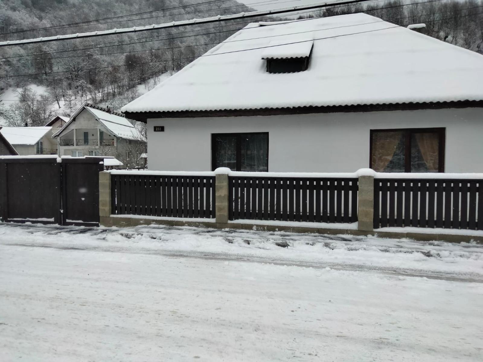Vacation Home photo 3