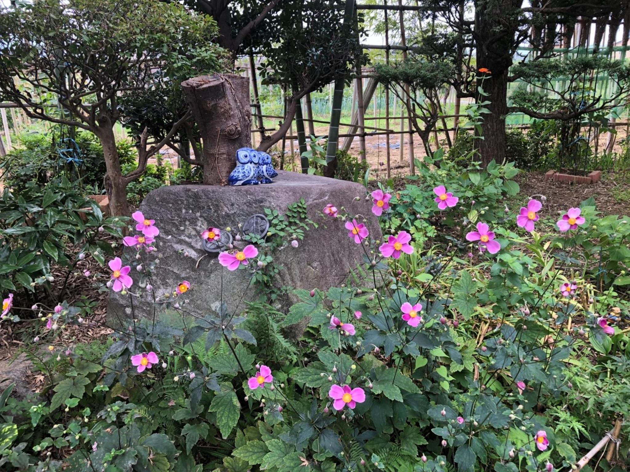 Vacation Home - Photo 14