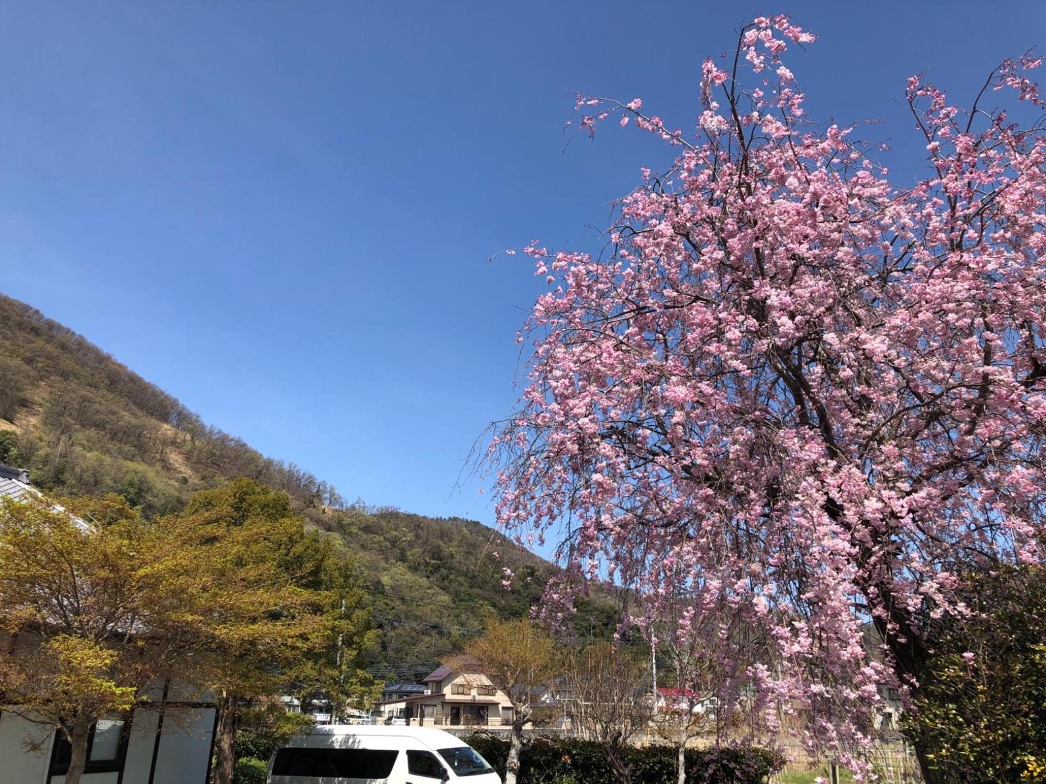 Vacation Home - Photo 18
