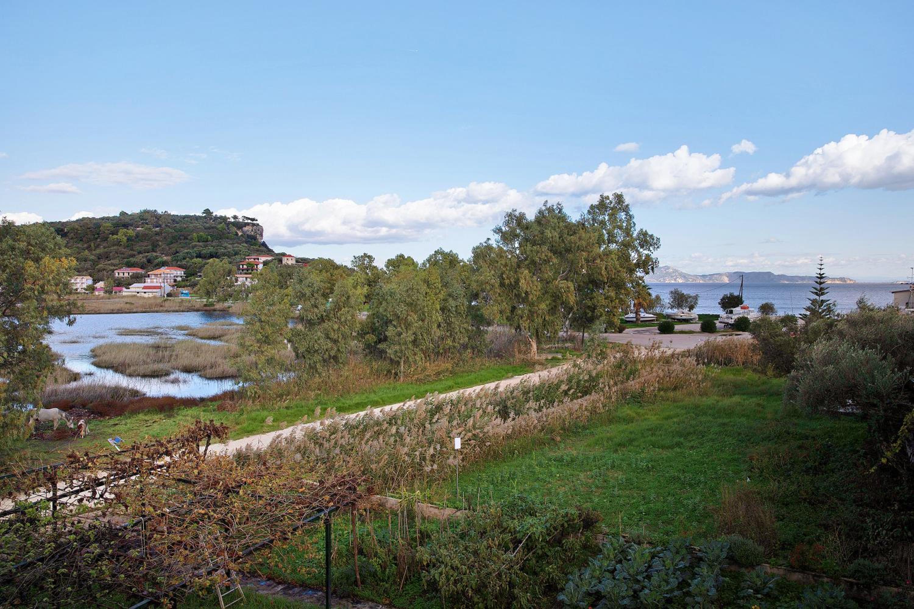 Two-Bedroom Deluxe Apartment with Ocean View photo 3