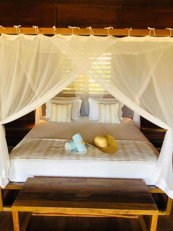 Standard Suite - Photo 1