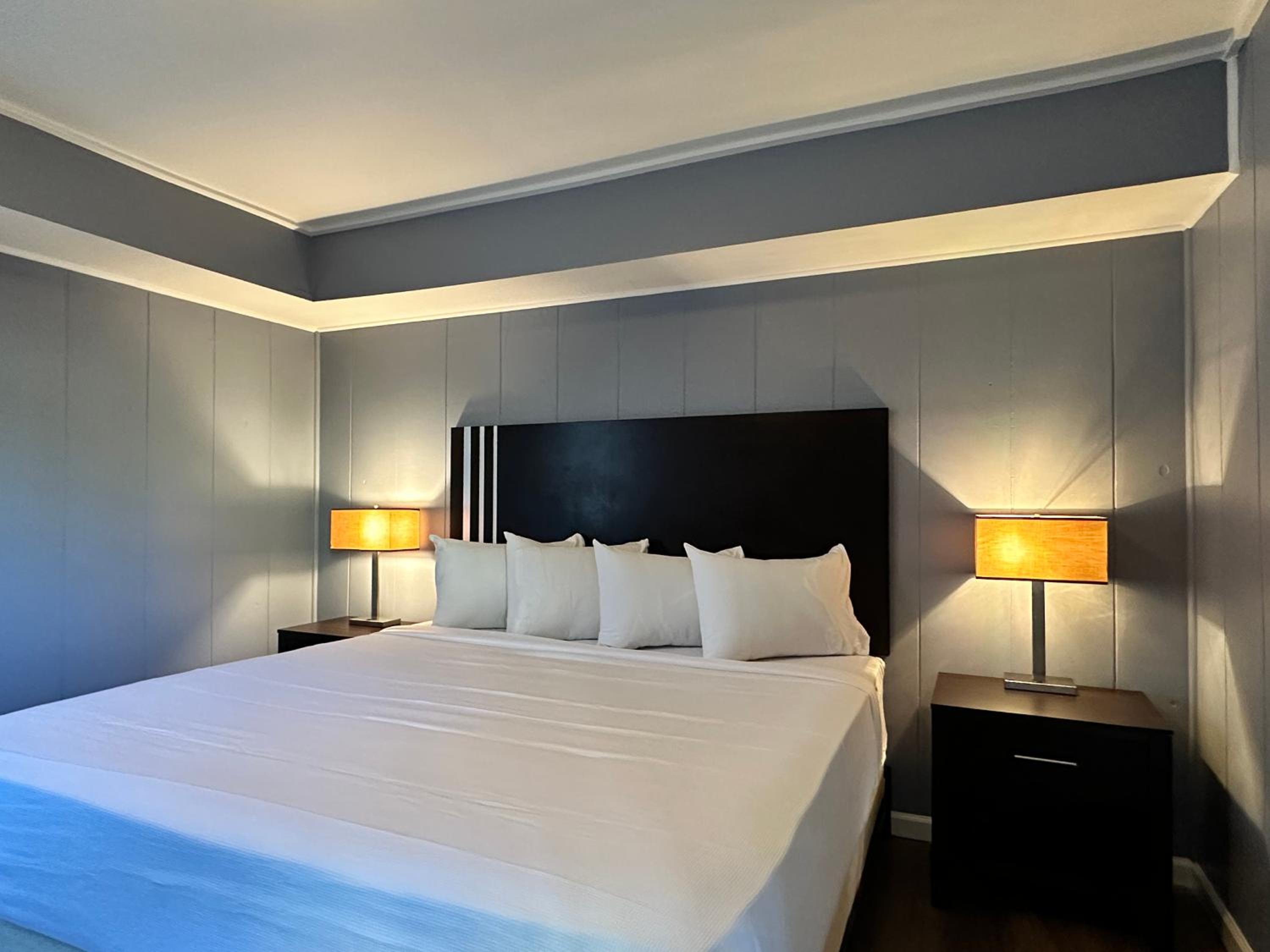 King Room photo 1
