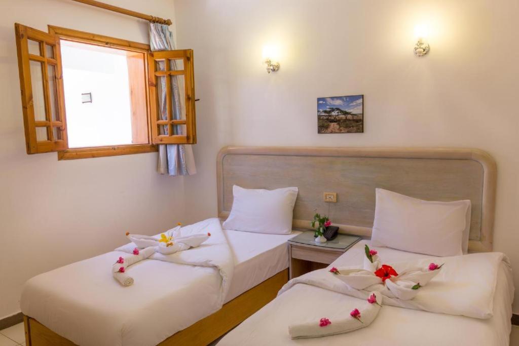 Special Offer Double Classic Room for Egyptians and Local Residents Only