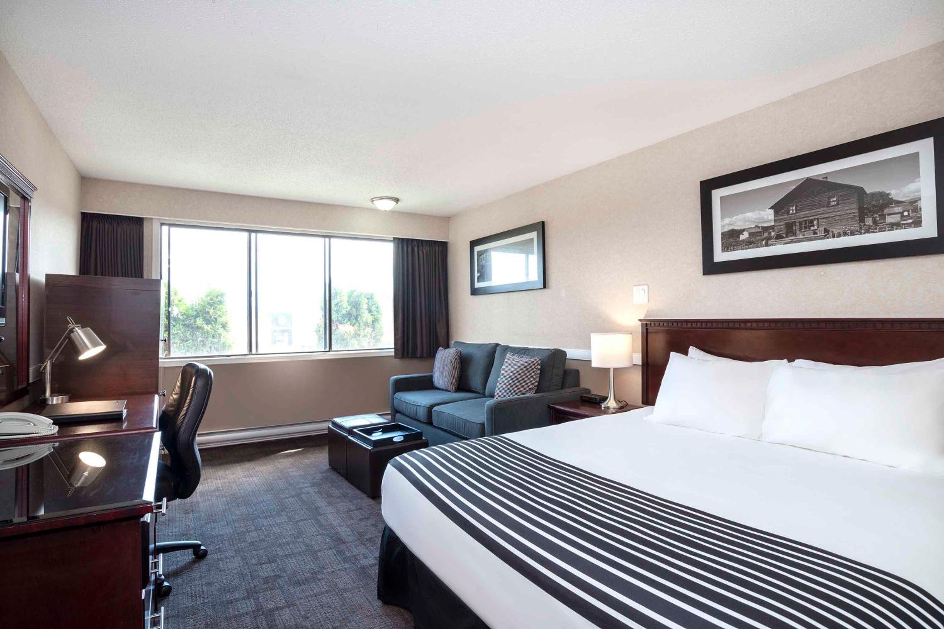 Standard Room, 1 King Bed, Sofa Bed