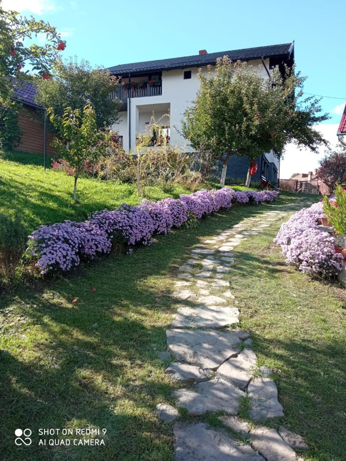 Vacation Home photo 2