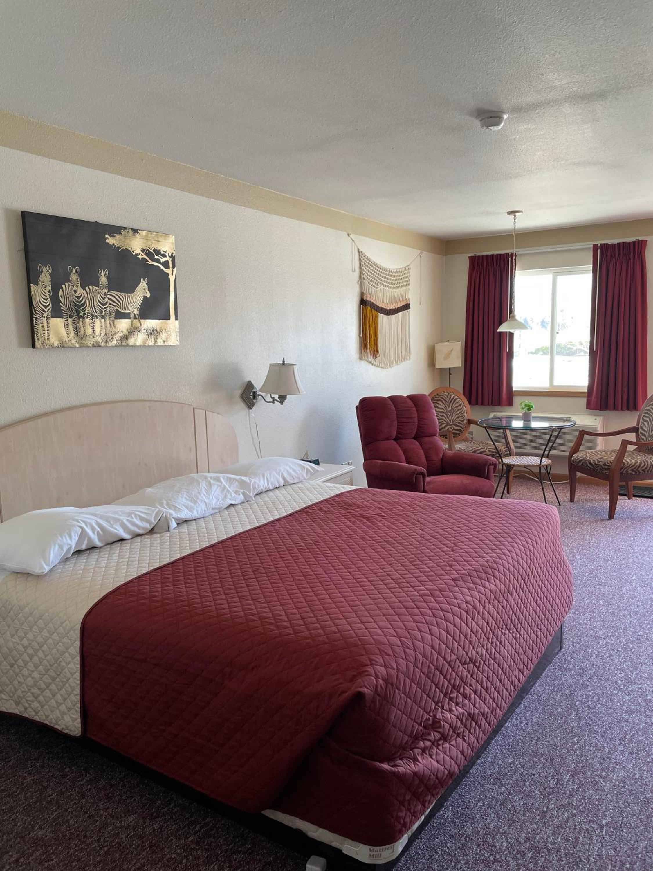 Deluxe King Suite - Photo 1