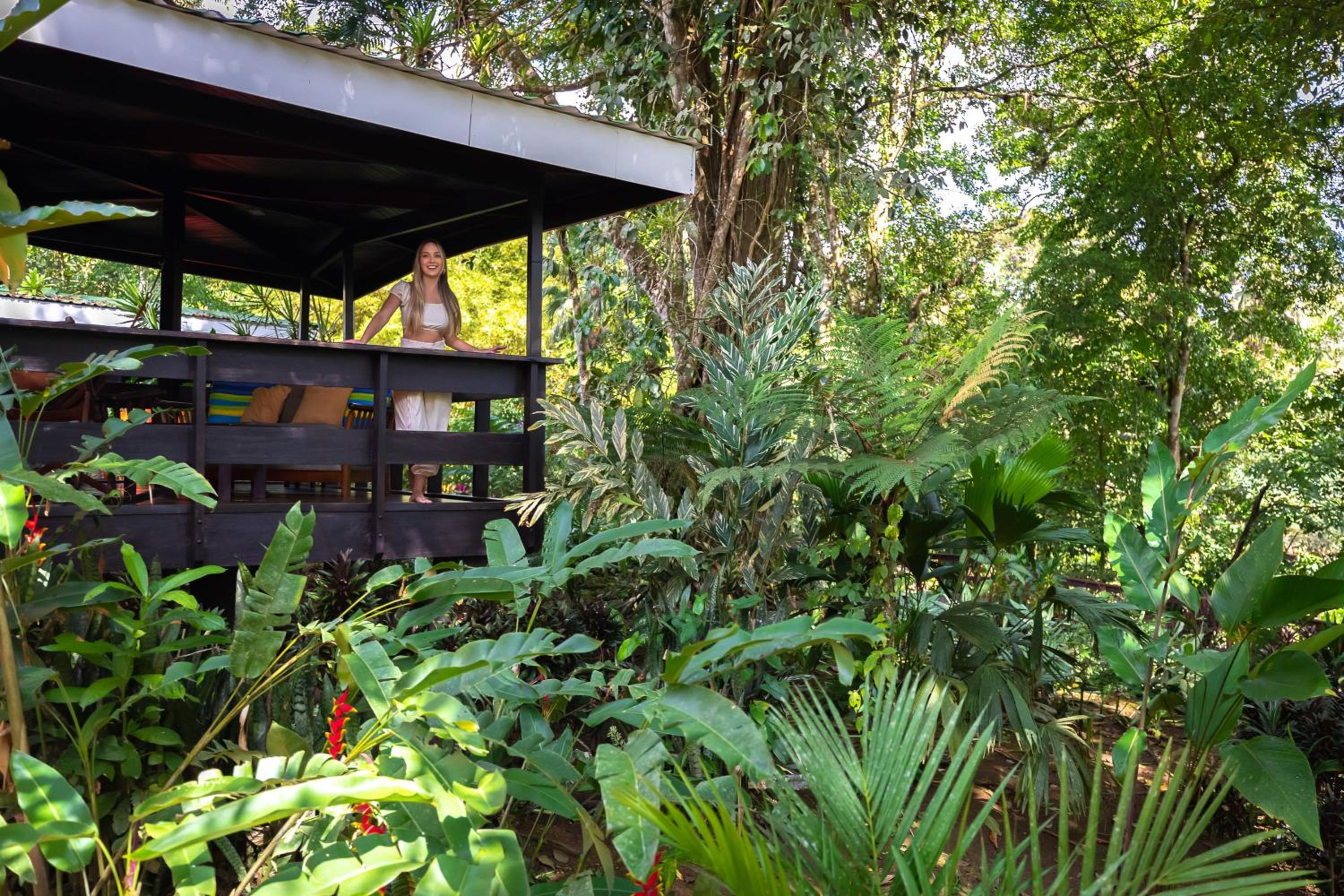 Rainforest Bungalow 1 King bed photo 3