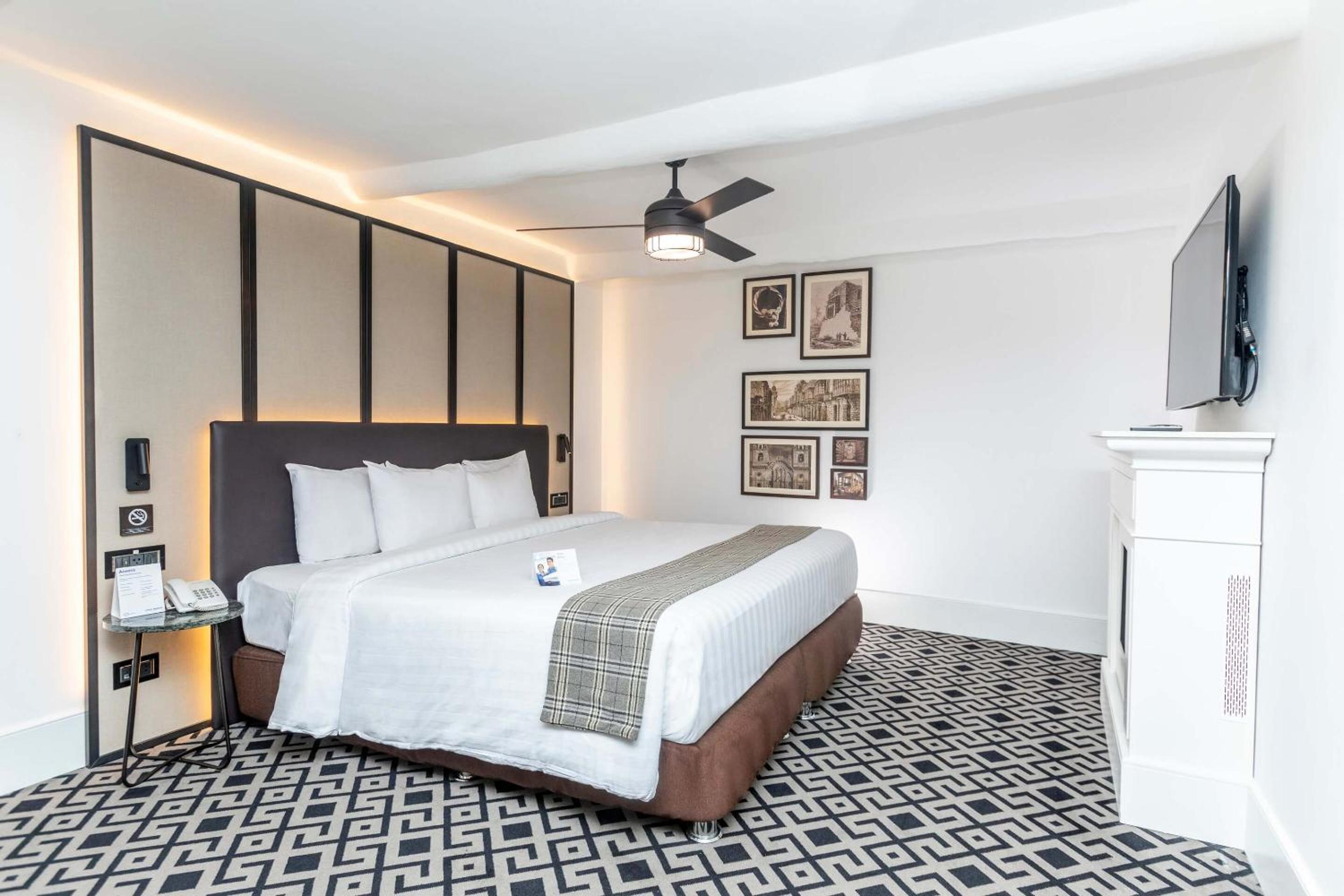 Suite - Photo 1