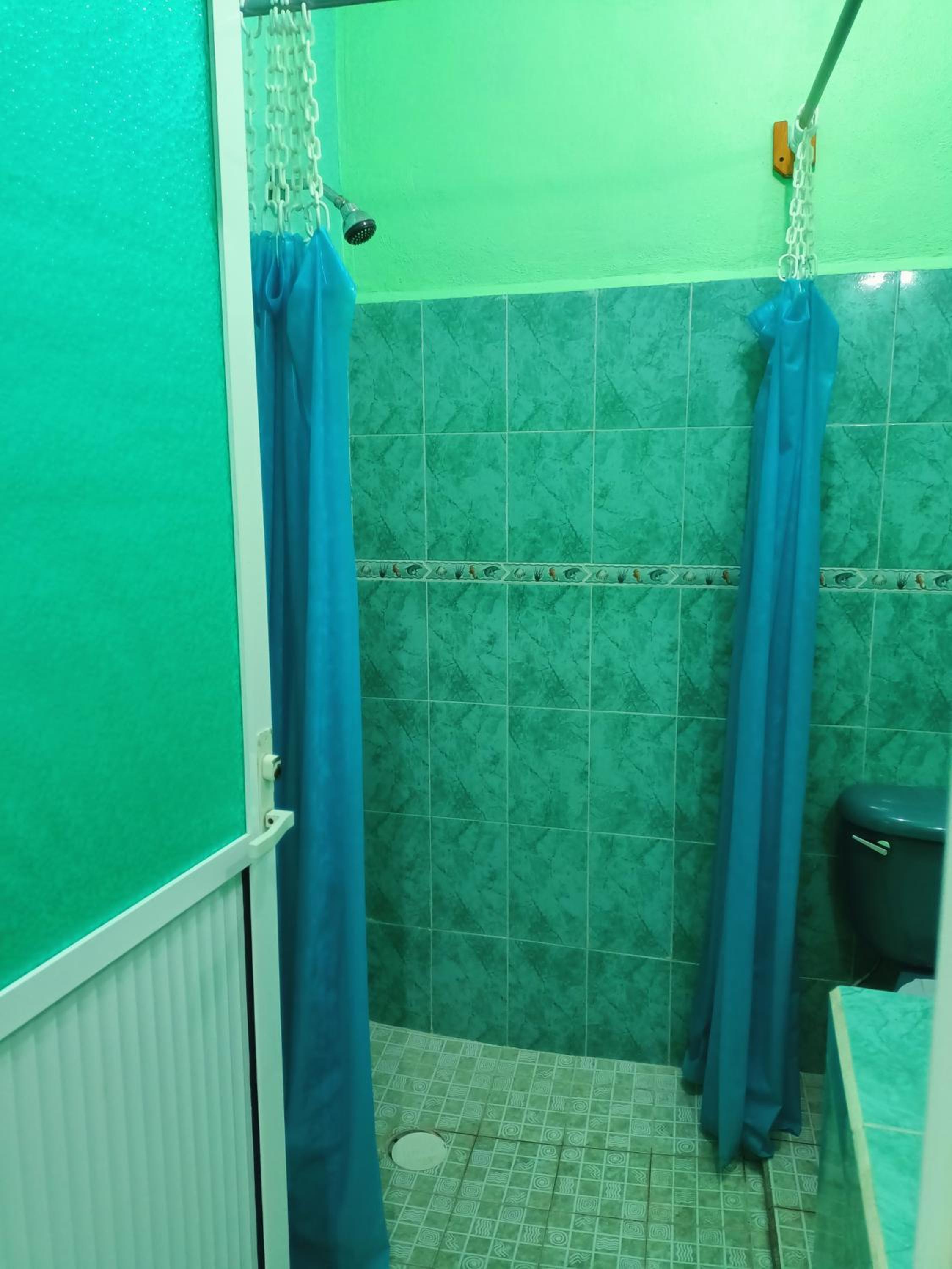 Twin Room photo 2