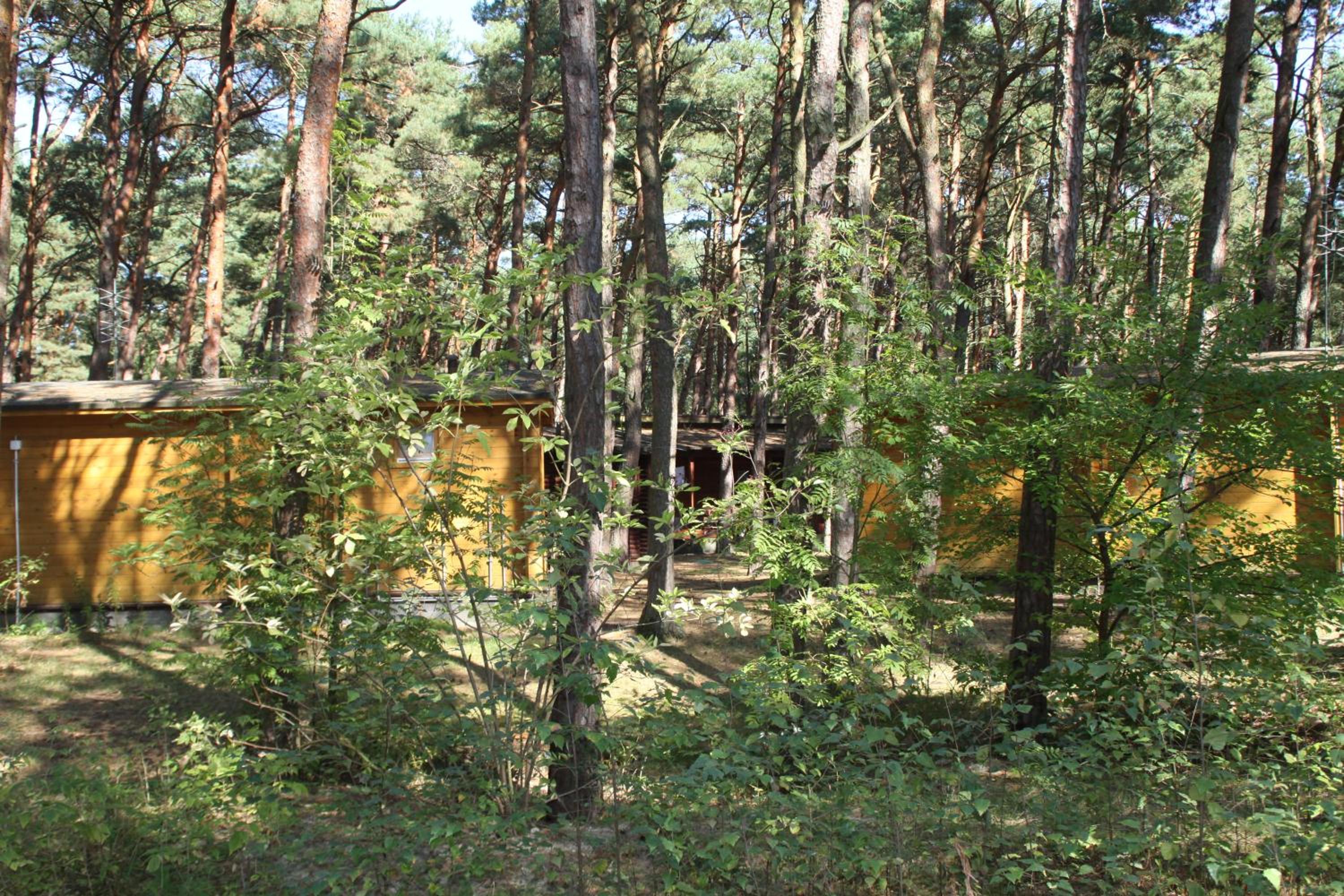 Deluxe Bungalow photo 2