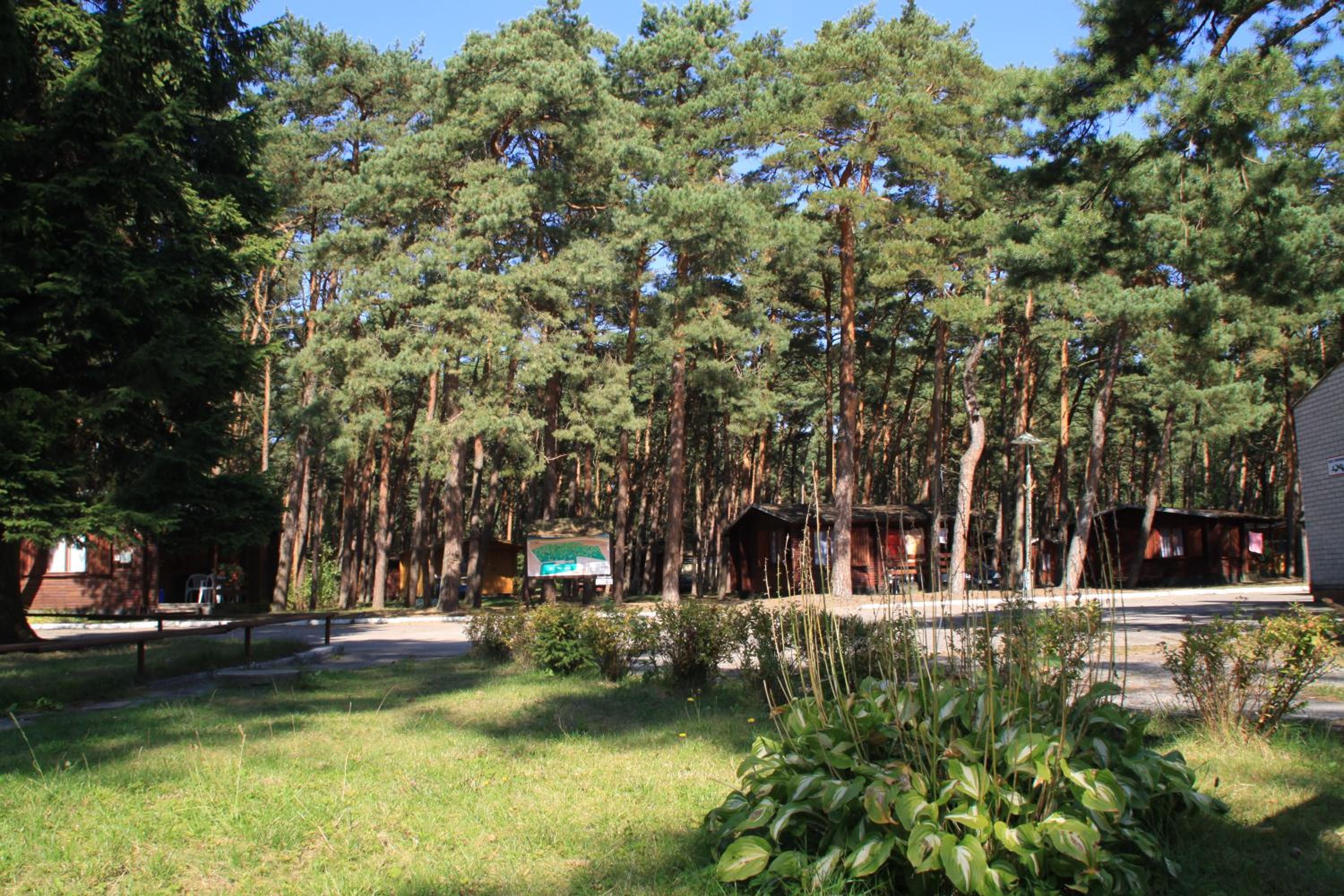 Deluxe Bungalow photo 3