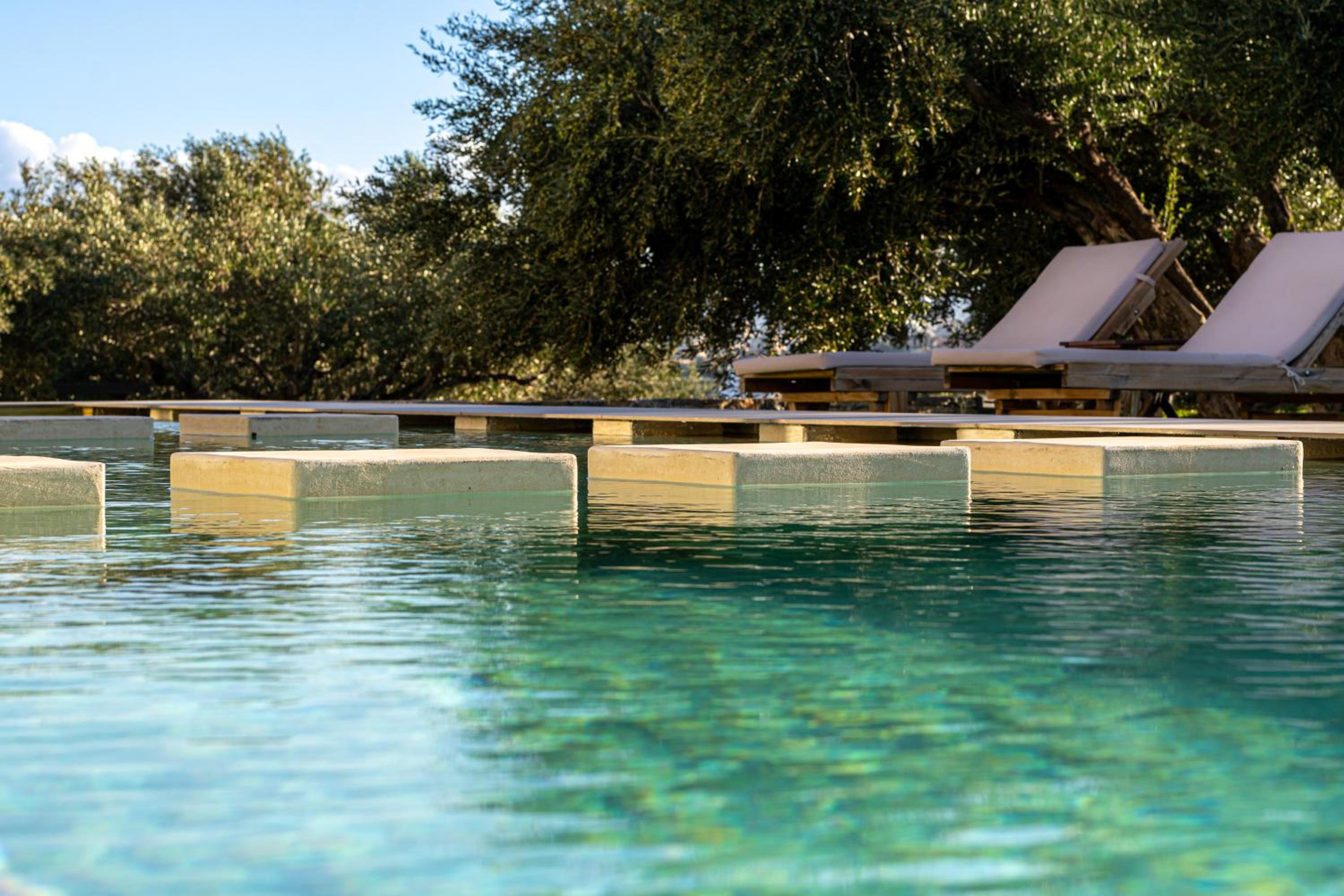 Serenity Junior Suite Garden view Shared Pool