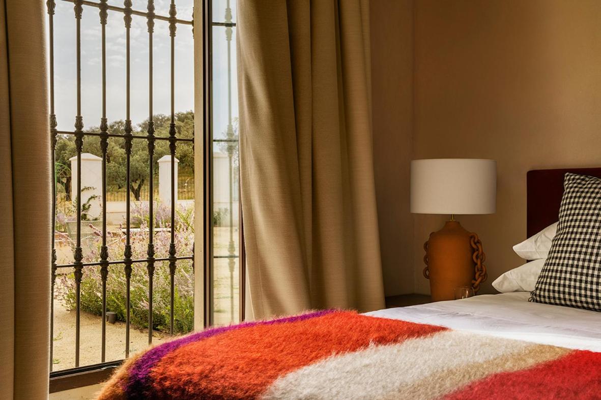 Deluxe Double or Twin Room - Photo 5