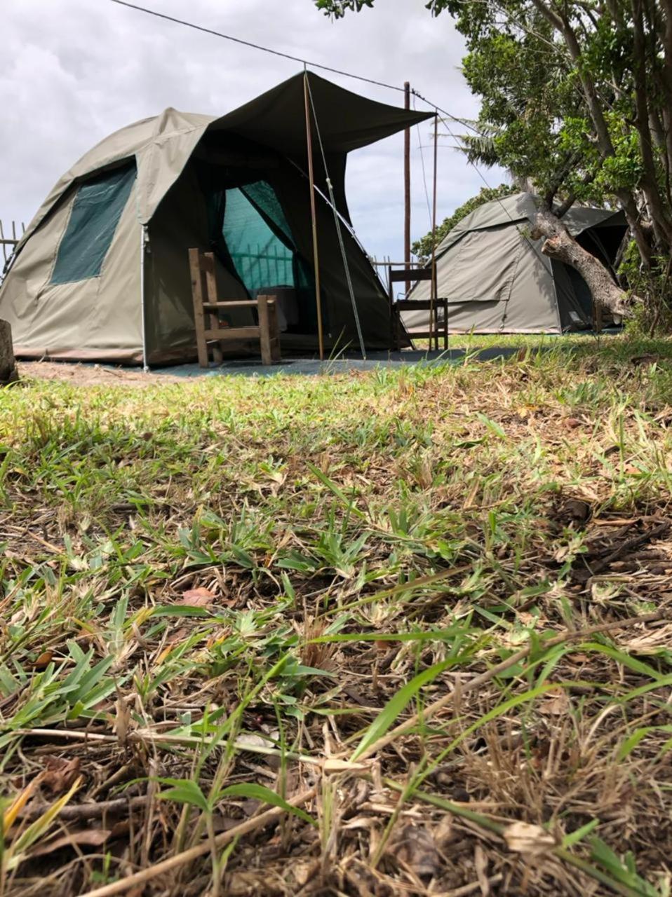 Tent photo 1