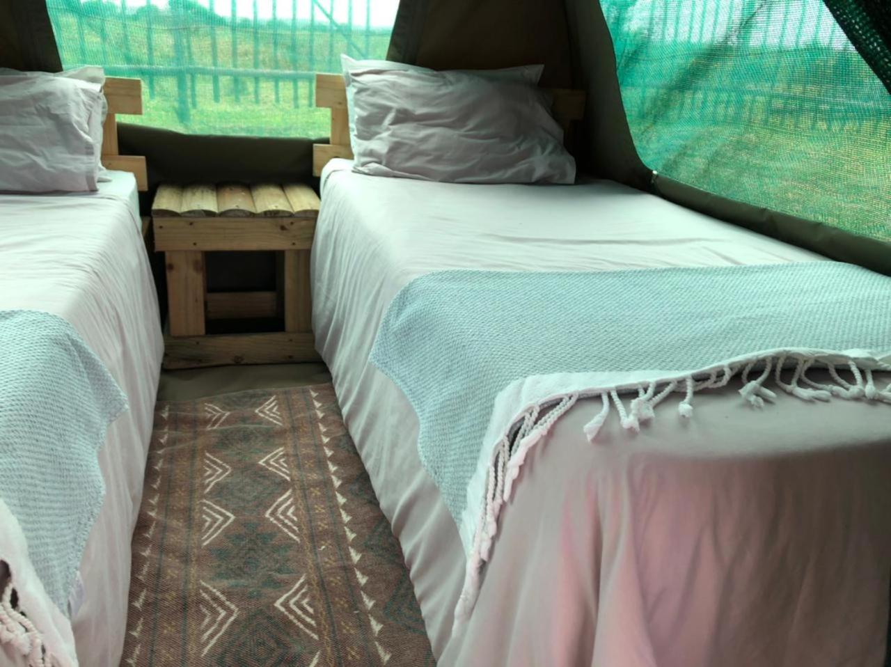 Standard Tent photo 1