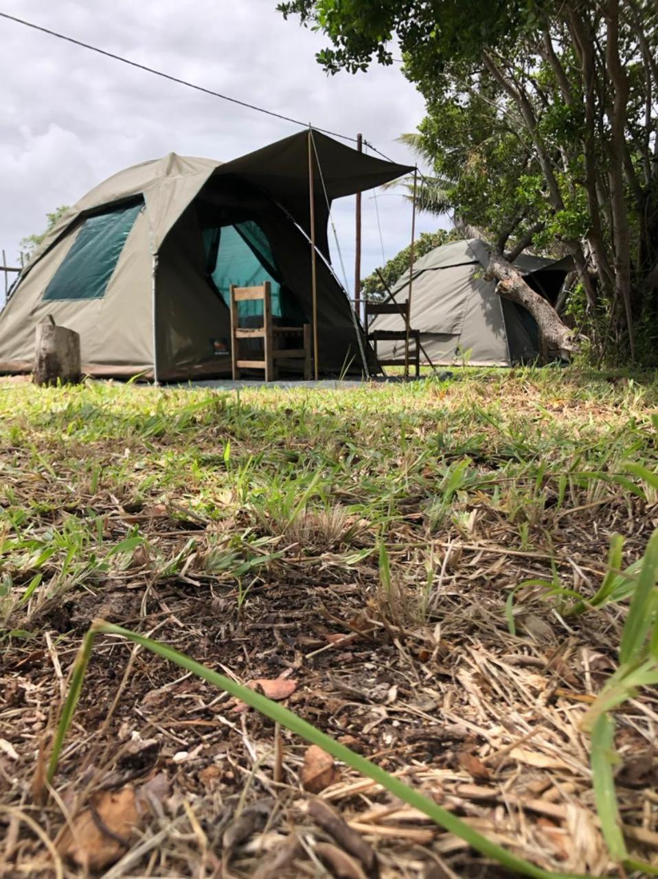 Standard Tent photo 2